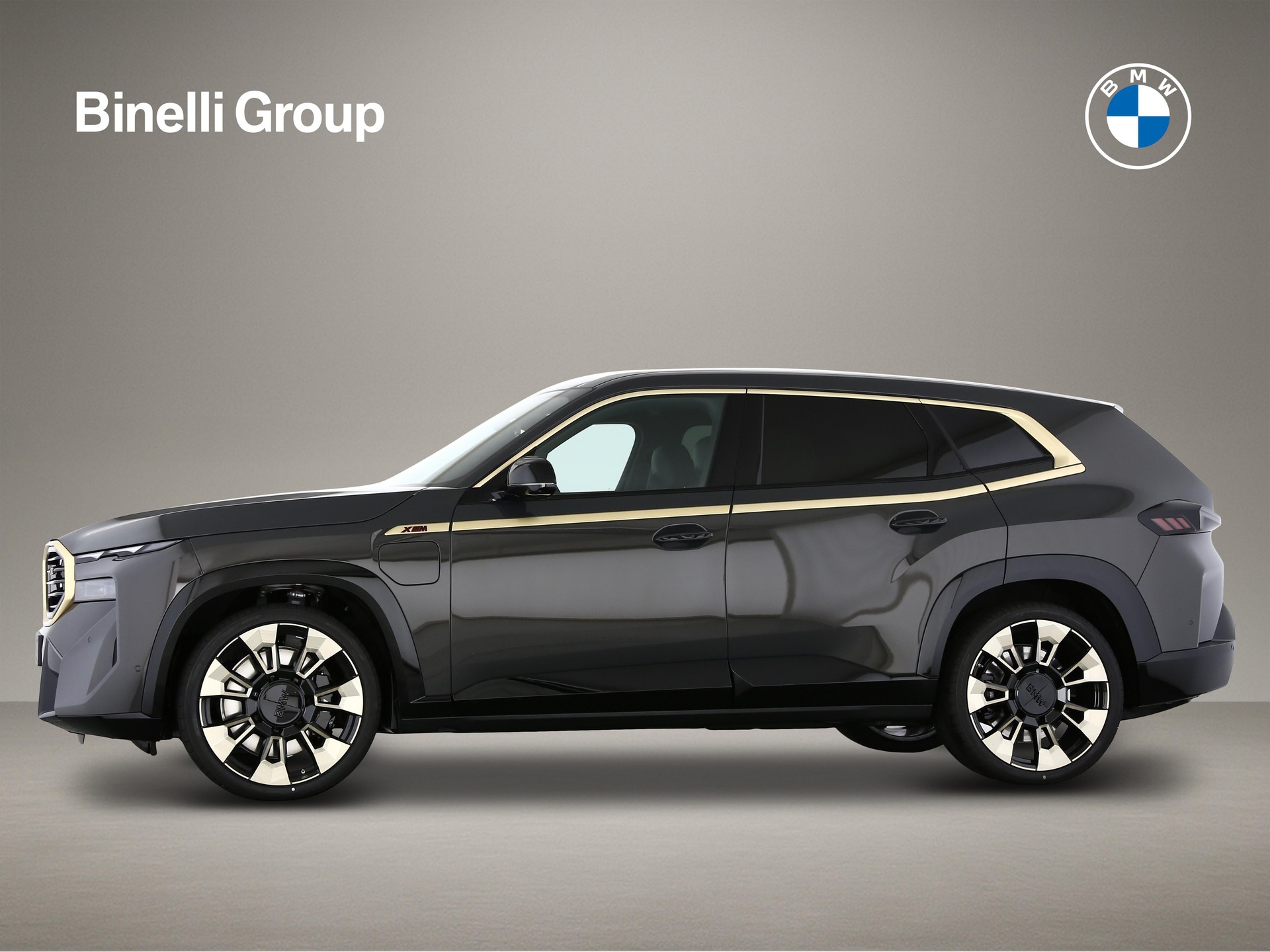 BMW XM Label Plug-in Hybrid-image-2
