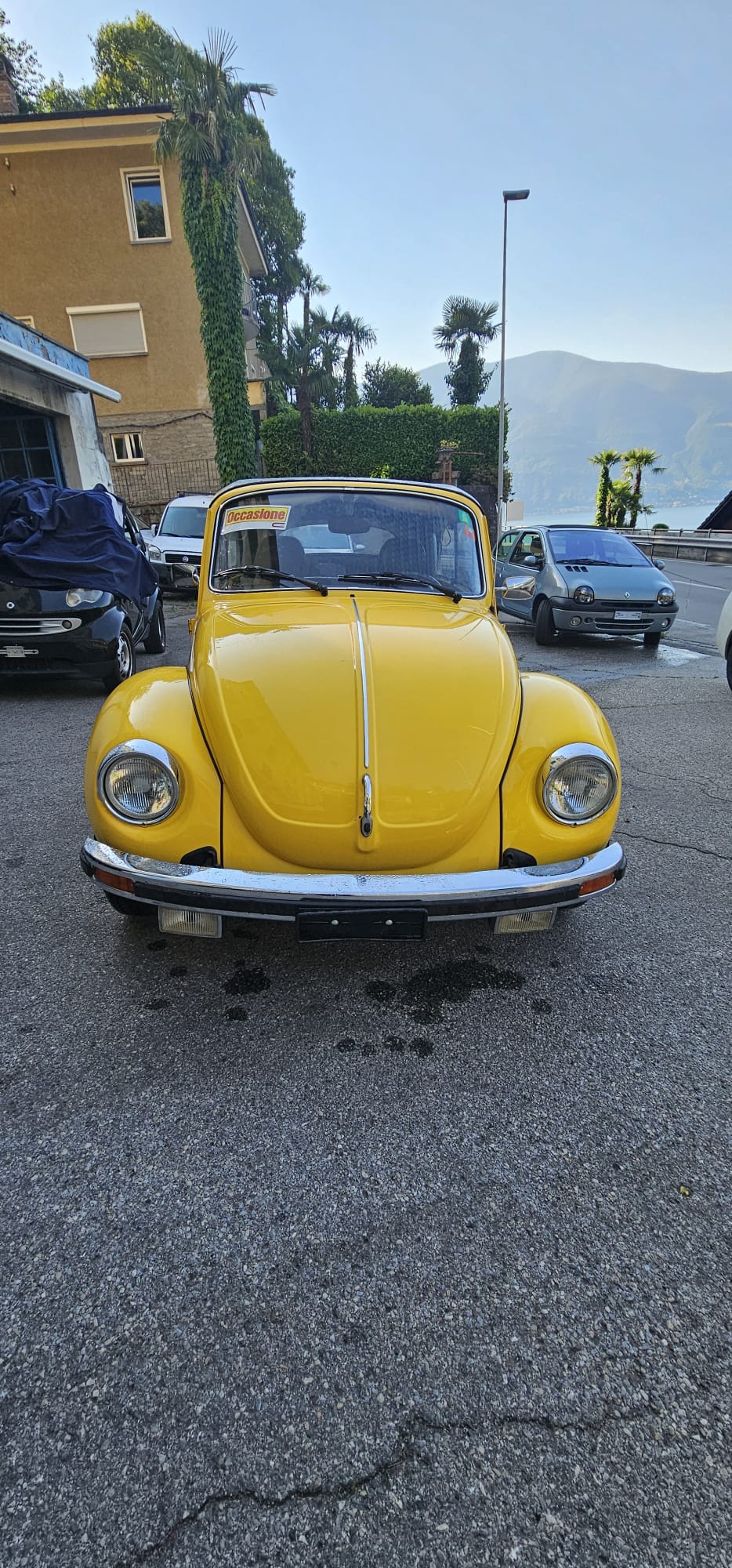 VW 15-1303-image-0
