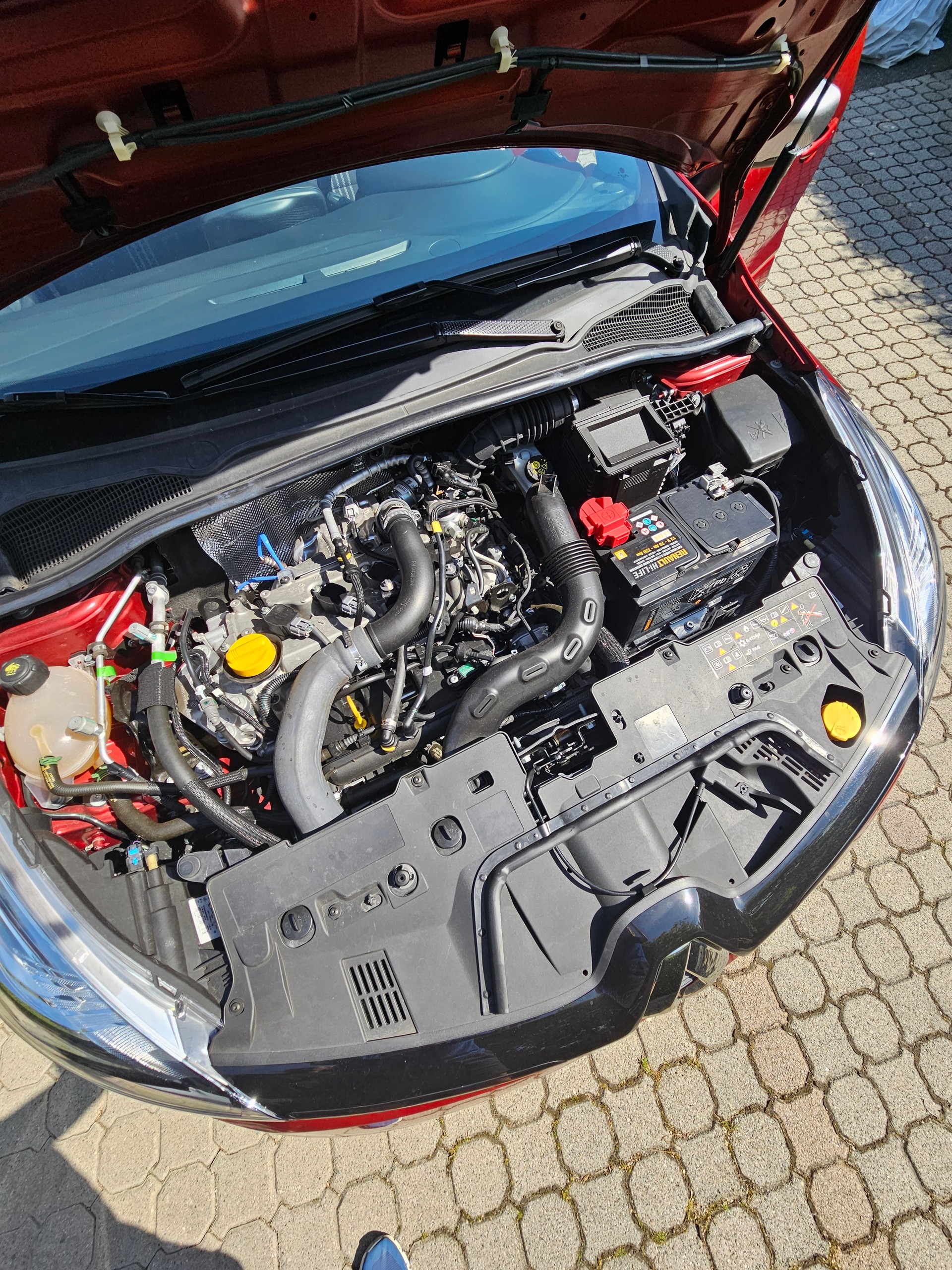 RENAULT 1.2 TCe 120 Swiss Edition S/S-image-5