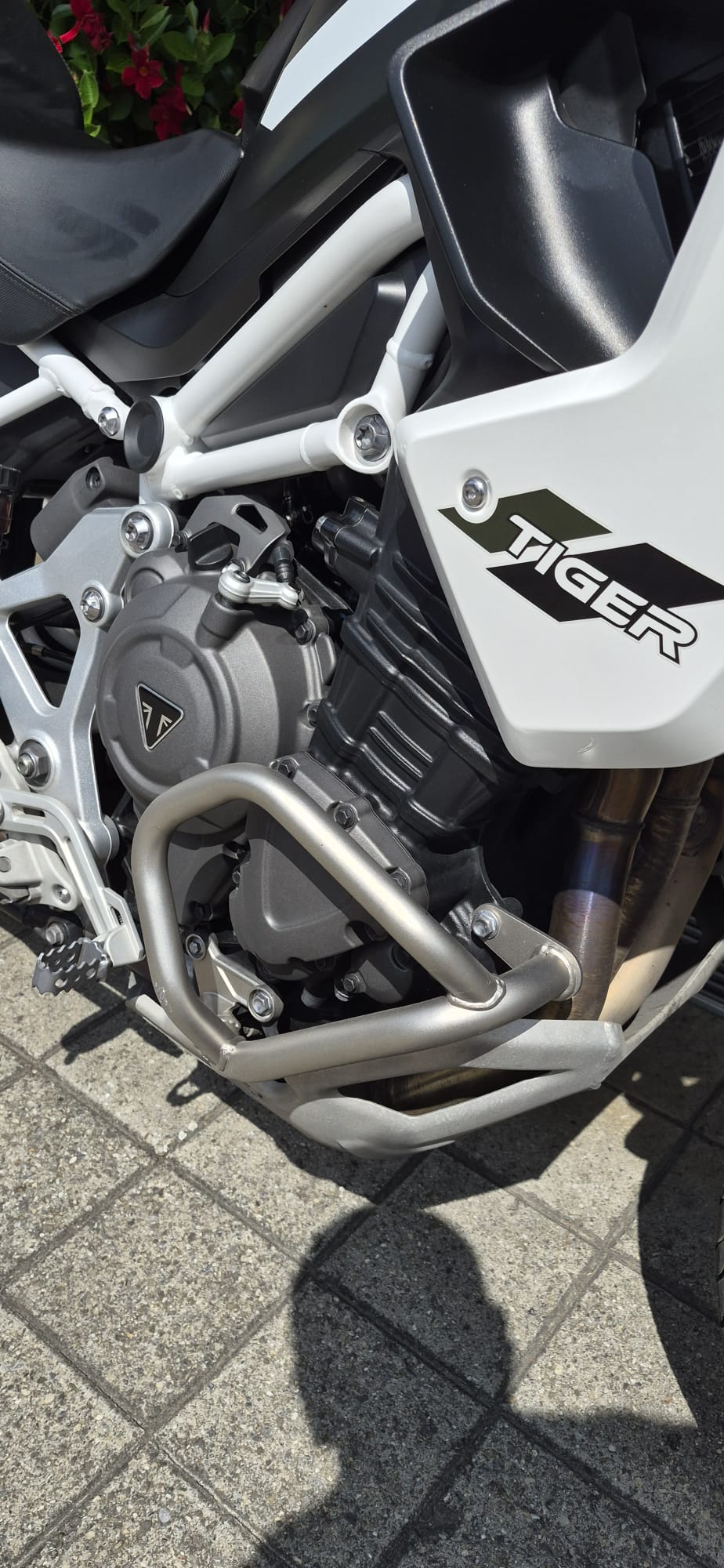 TRIUMPH Tiger 1200 Rally Pro-image-6