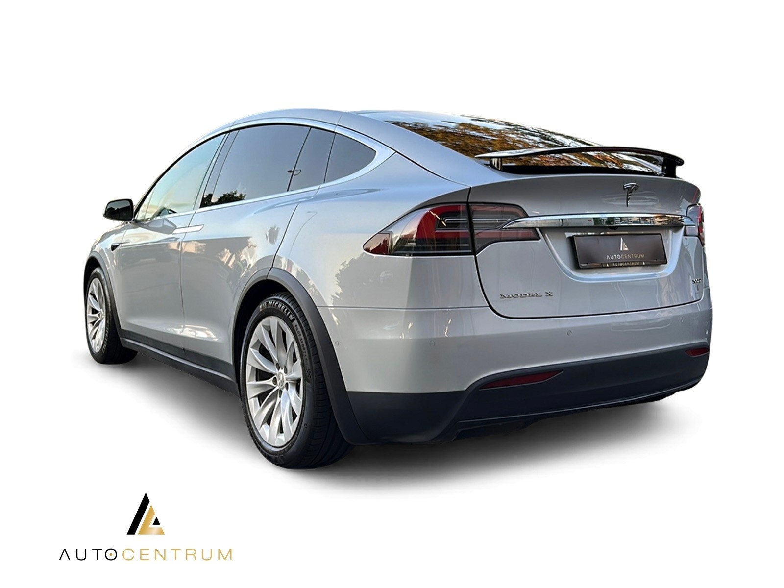 TESLA Model X 100 D-image-3