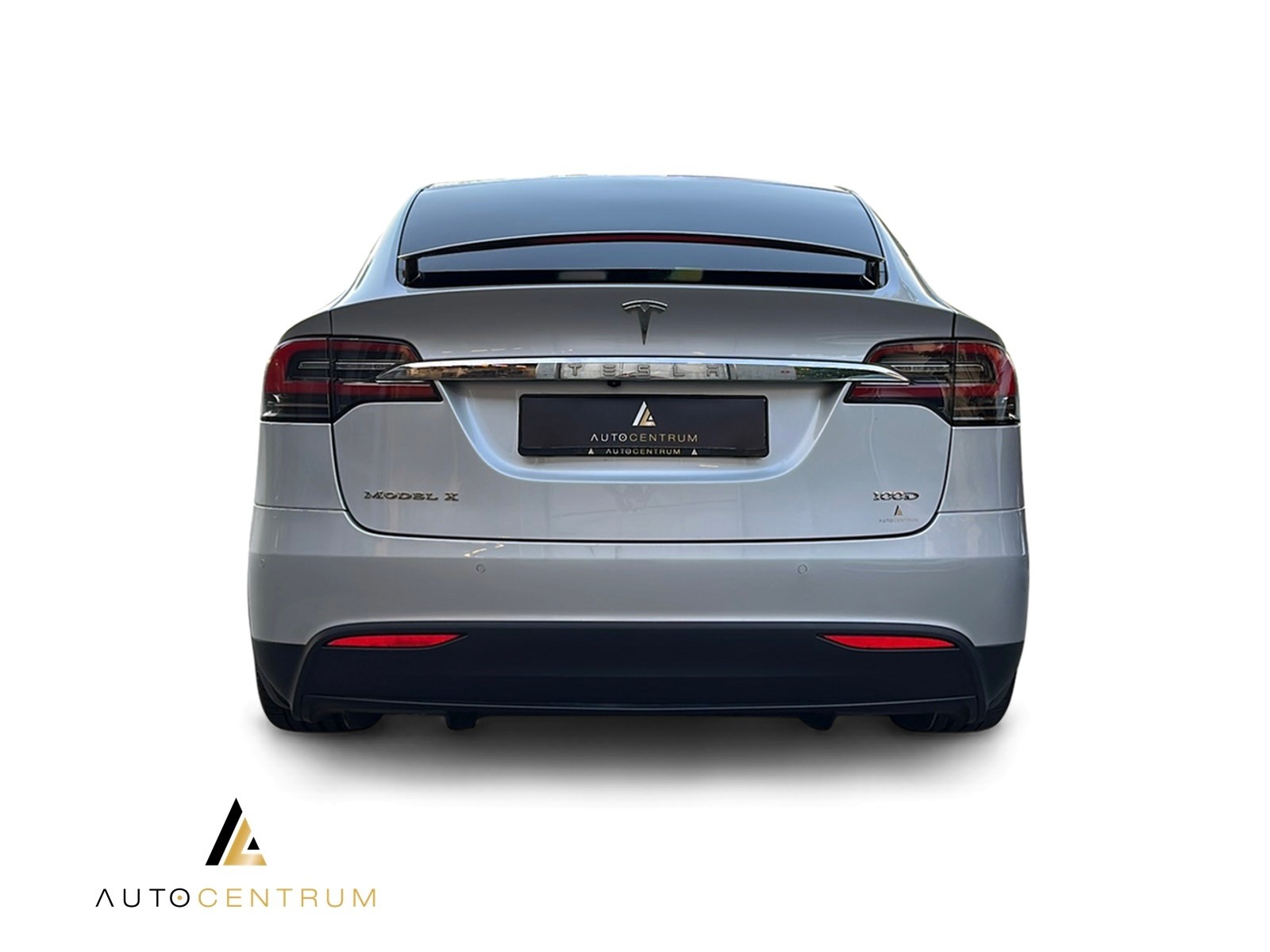TESLA Model X 100 D-image-4