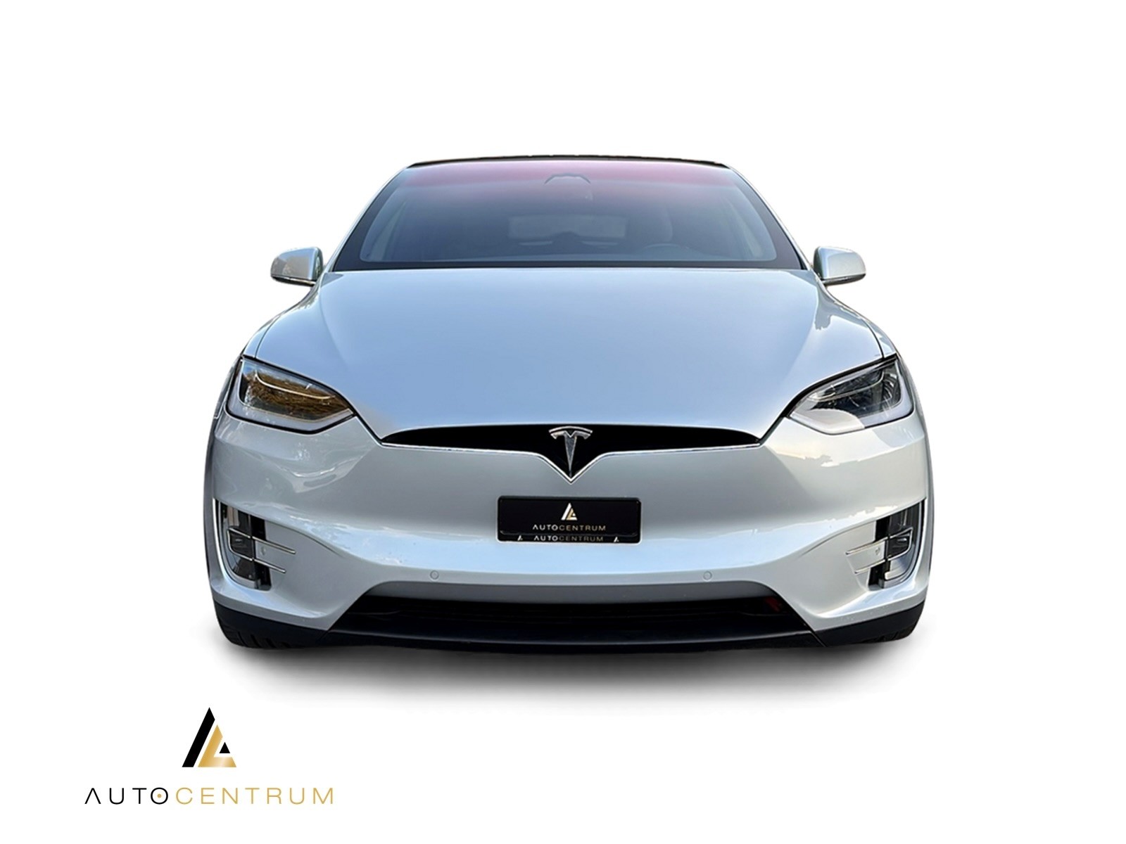 TESLA Model X 100 D-image-5
