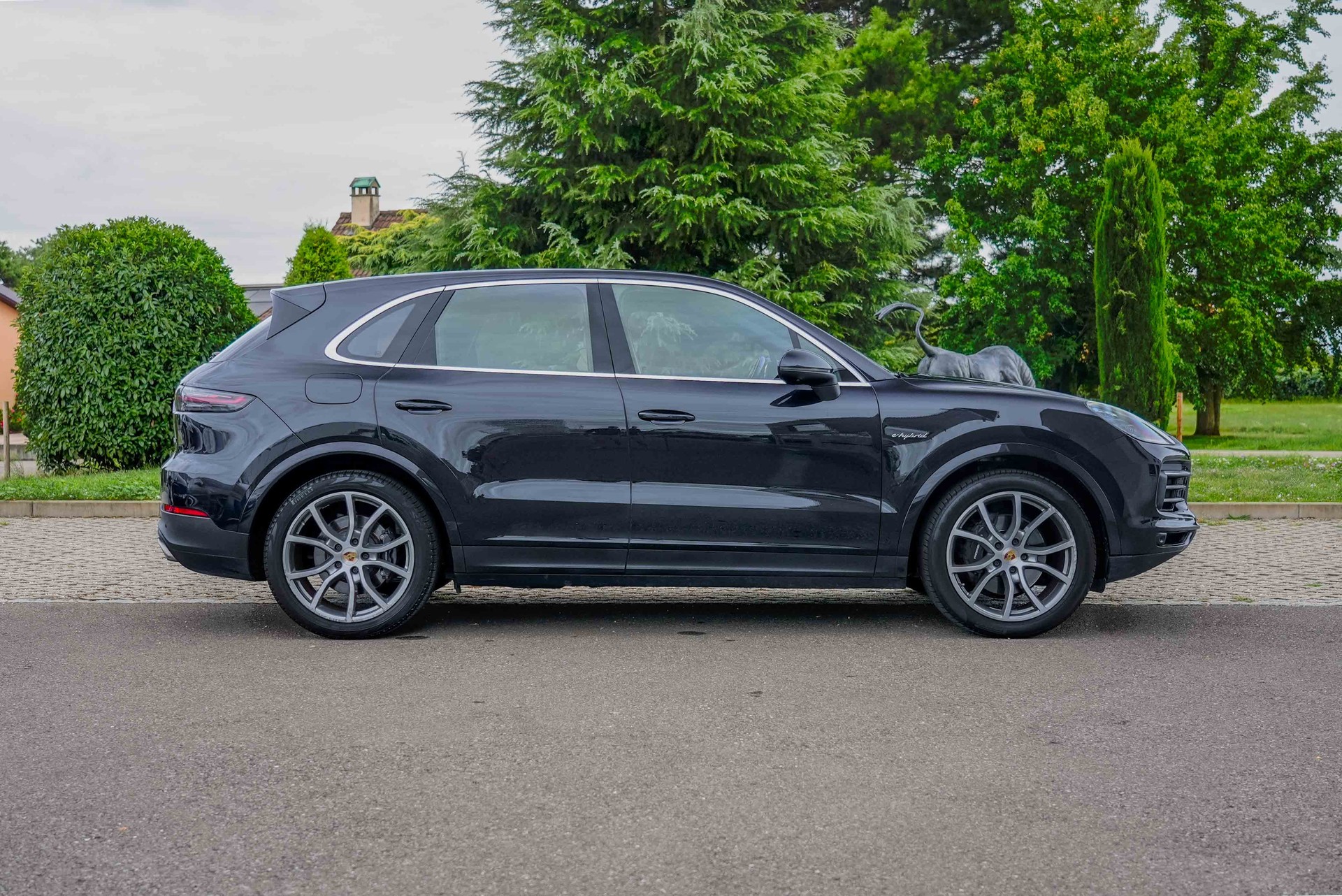 PORSCHE Cayenne E-Hybrid-image-3