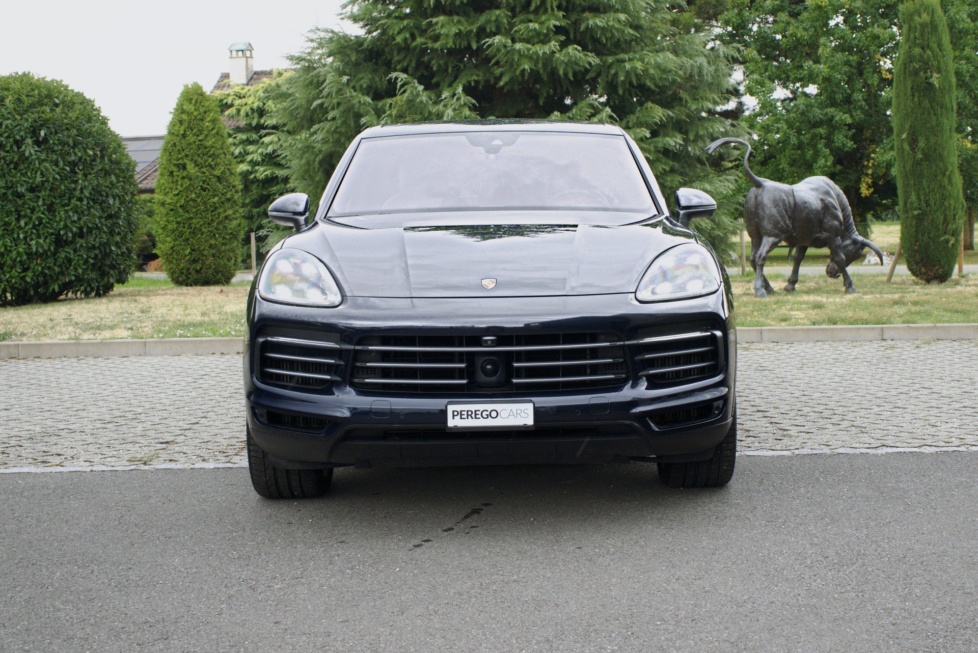 PORSCHE Cayenne E-Hybrid-image-1