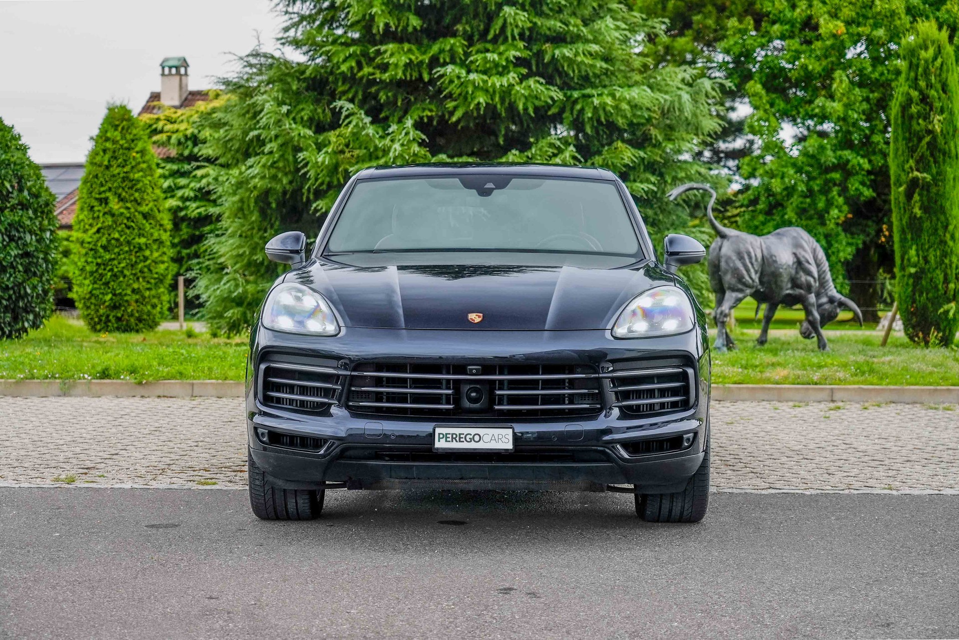 PORSCHE Cayenne E-Hybrid-image-2