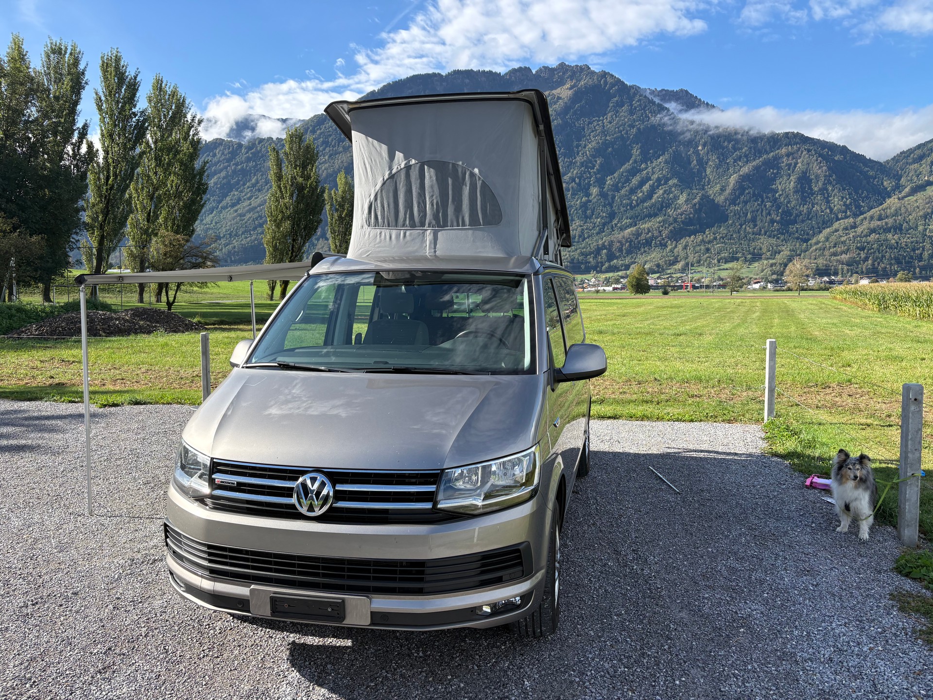 VW T6 California Ozean 4Motion DSG, inkl. 4er Veloträger-image-6