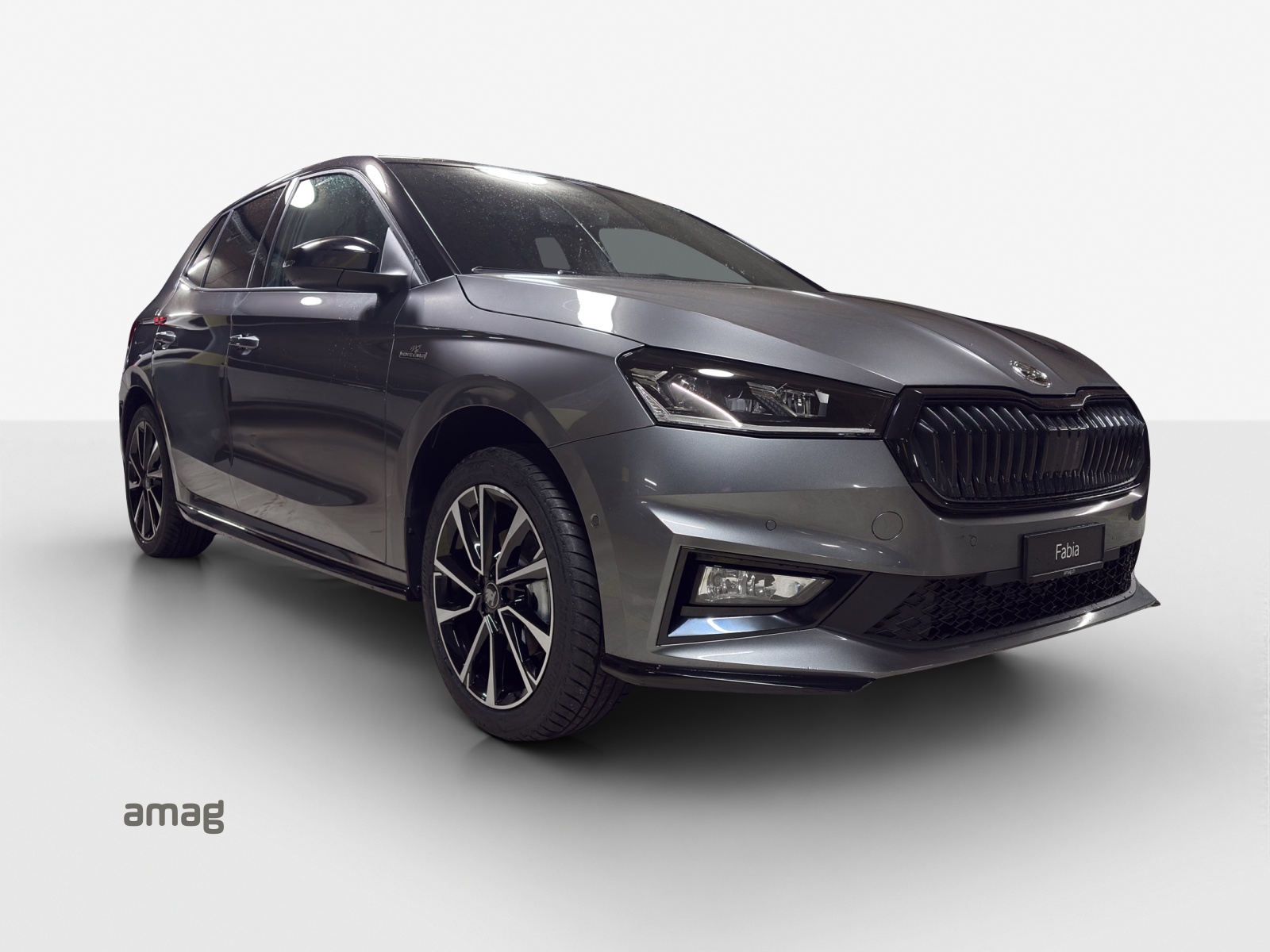 SKODA Fabia 1.0 TSI Monte Carlo DSG-image-5