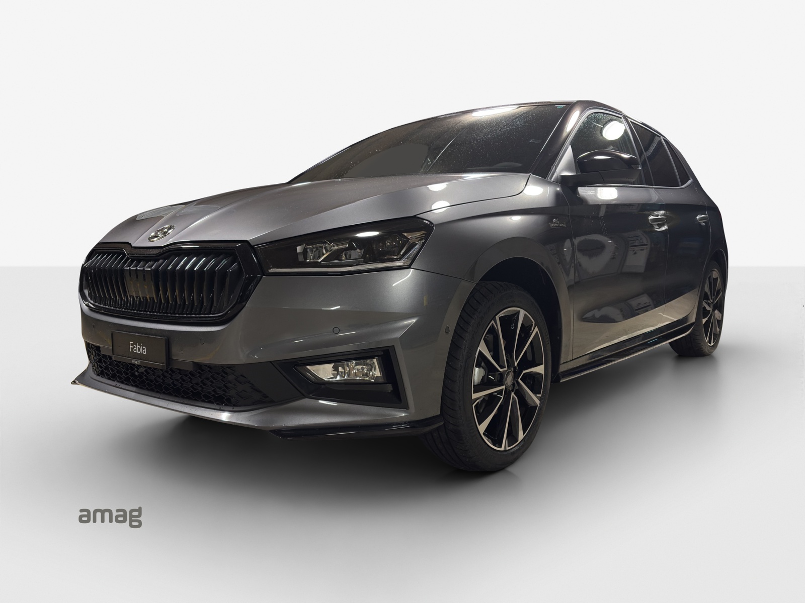 SKODA Fabia 1.0 TSI Monte Carlo DSG-image-0