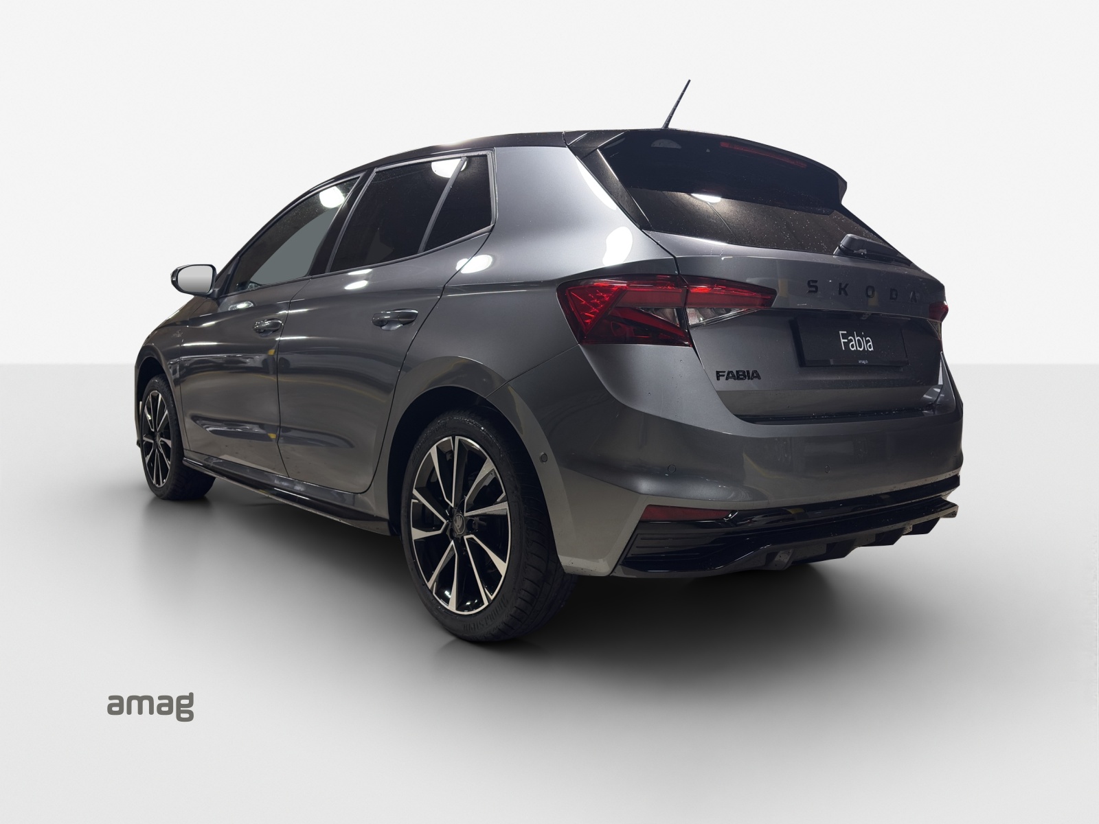 SKODA Fabia 1.0 TSI Monte Carlo DSG-image-2