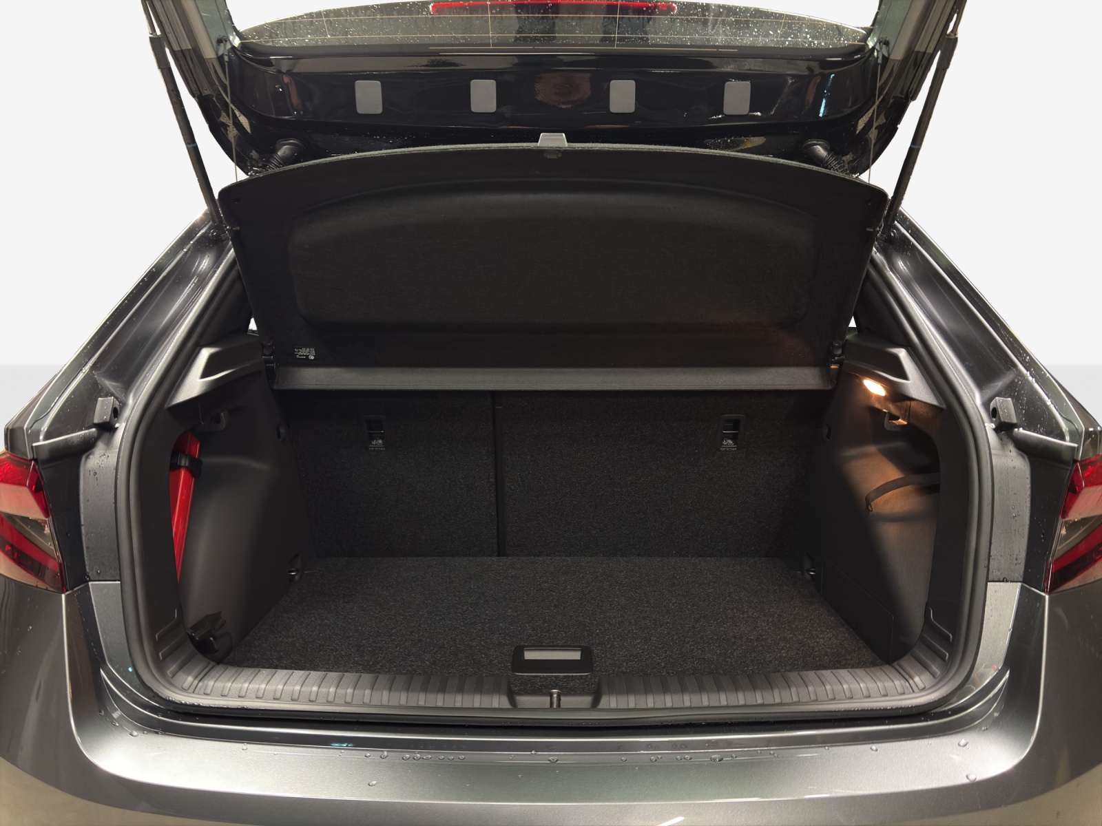 SKODA Fabia 1.0 TSI Monte Carlo DSG-image-12