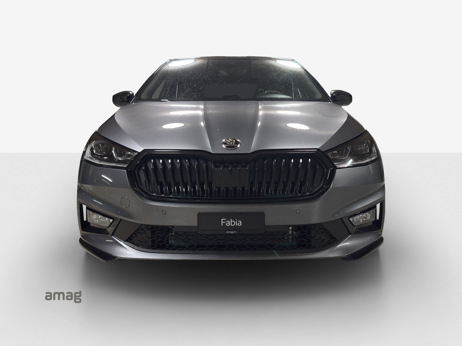 SKODA Fabia 1.0 TSI Monte Carlo DSG-image-6