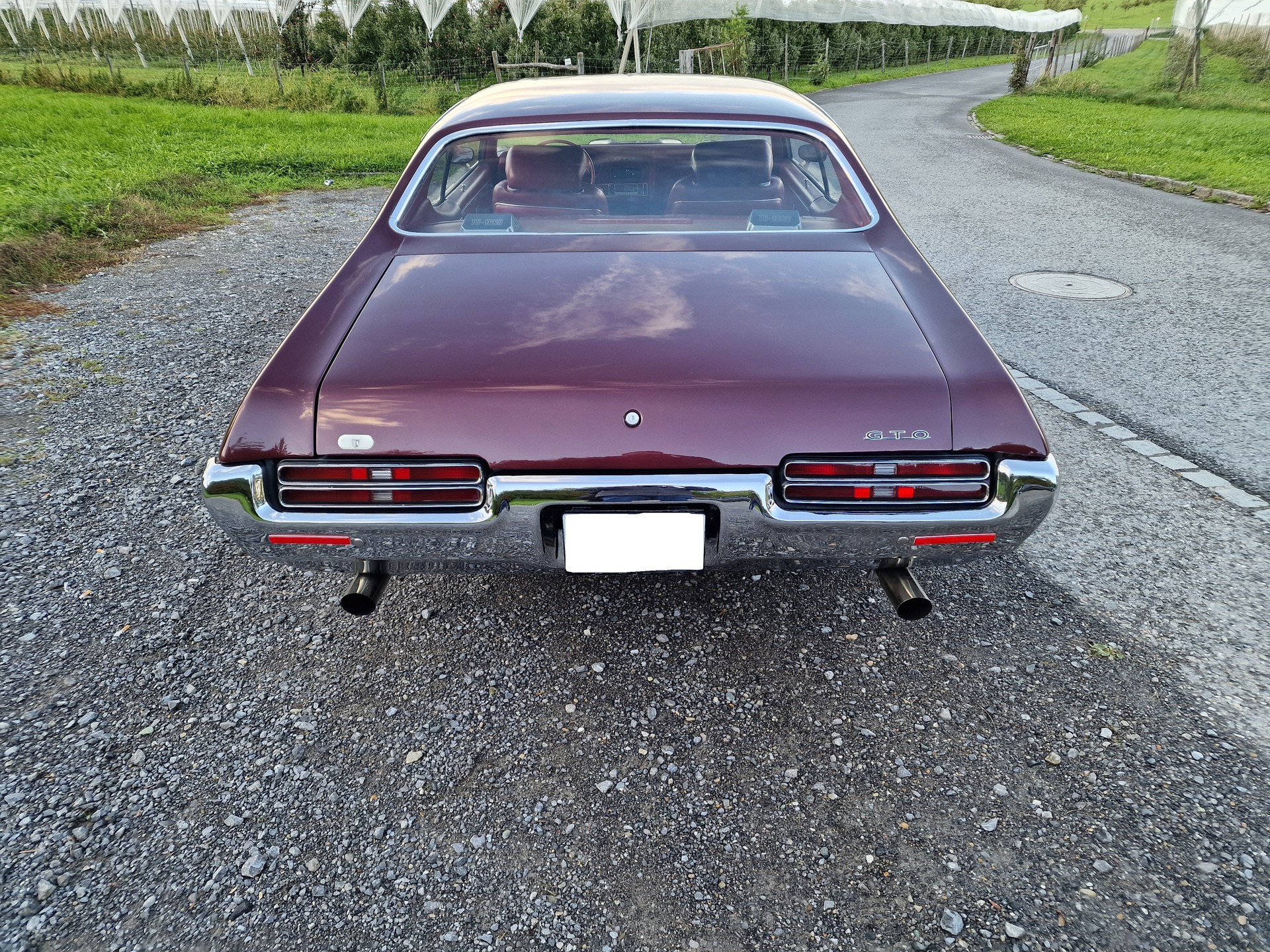 PONTIAC Tempest GTO-image-1