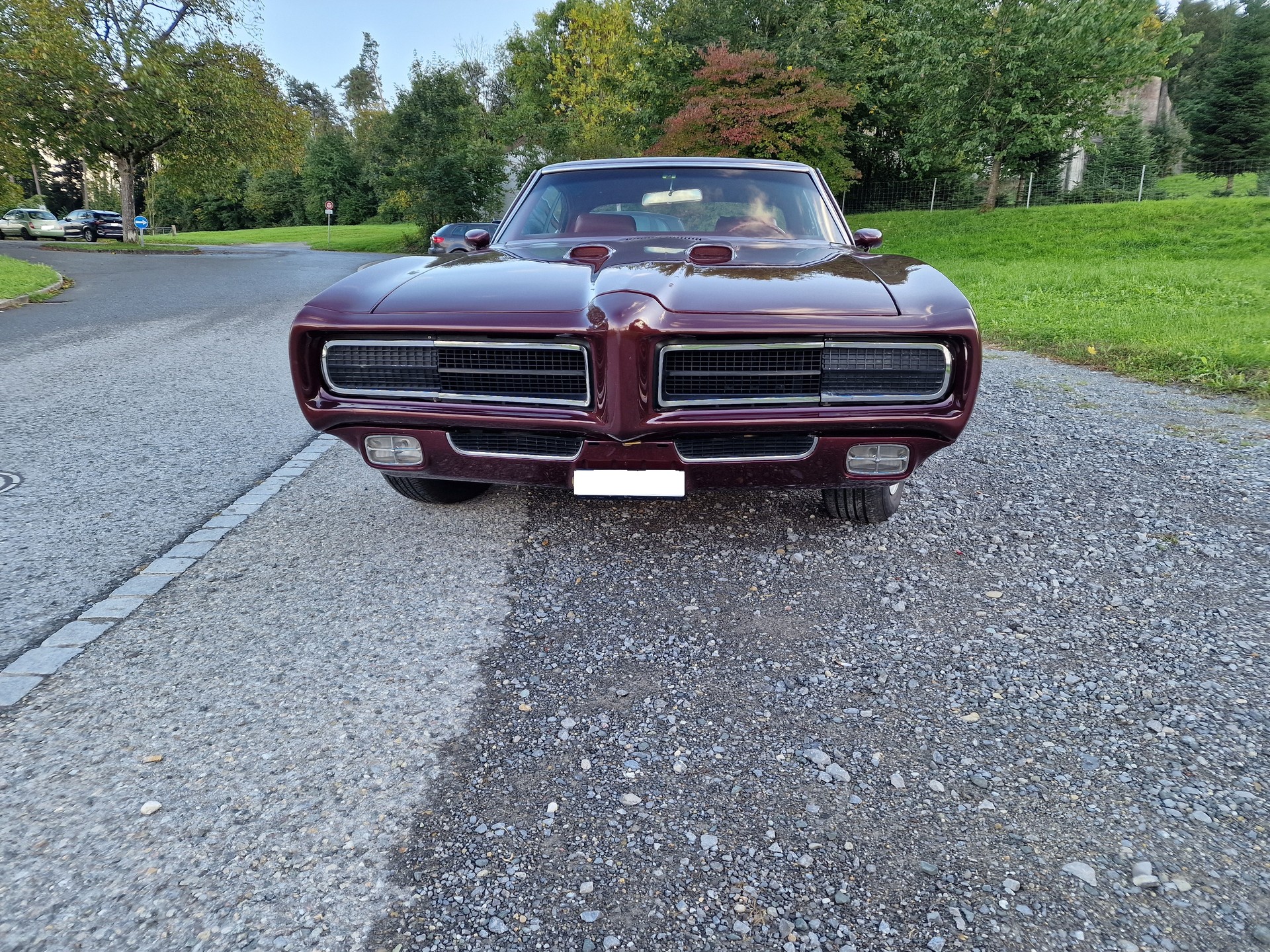 PONTIAC Tempest GTO-image-0