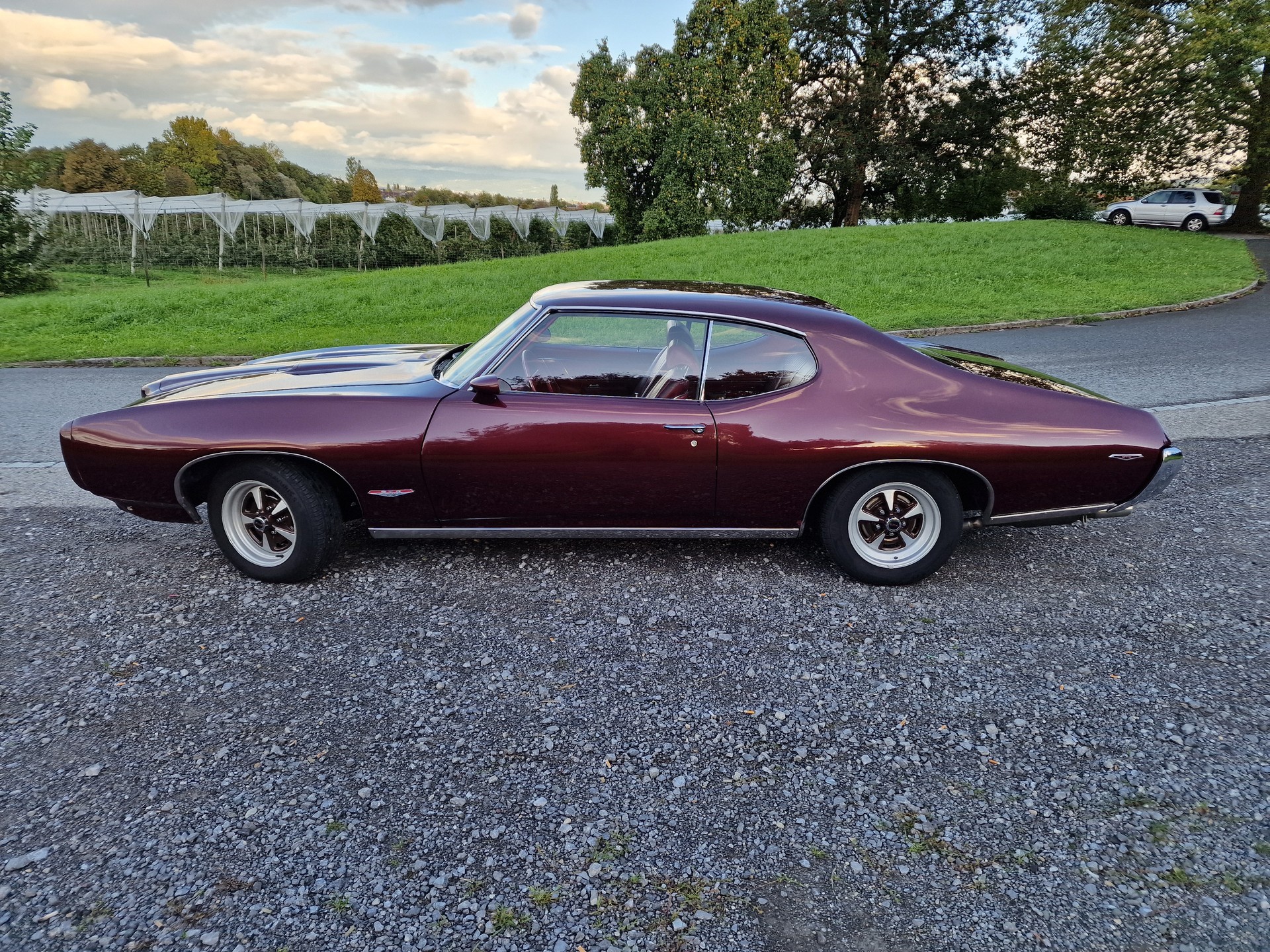 PONTIAC Tempest GTO-image-2
