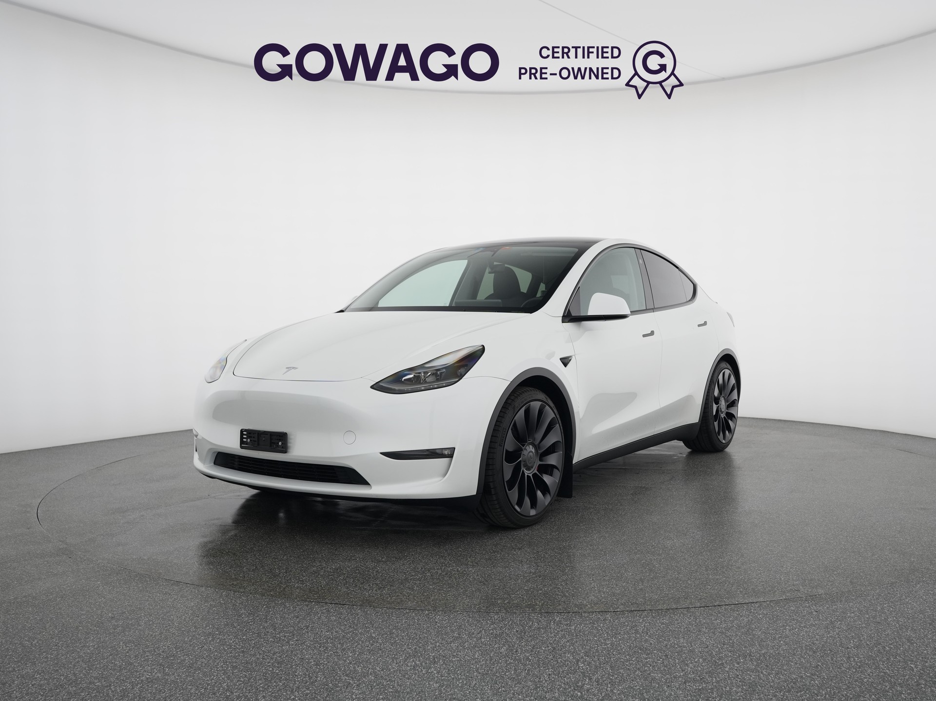 TESLA Model Y Performance-image-0