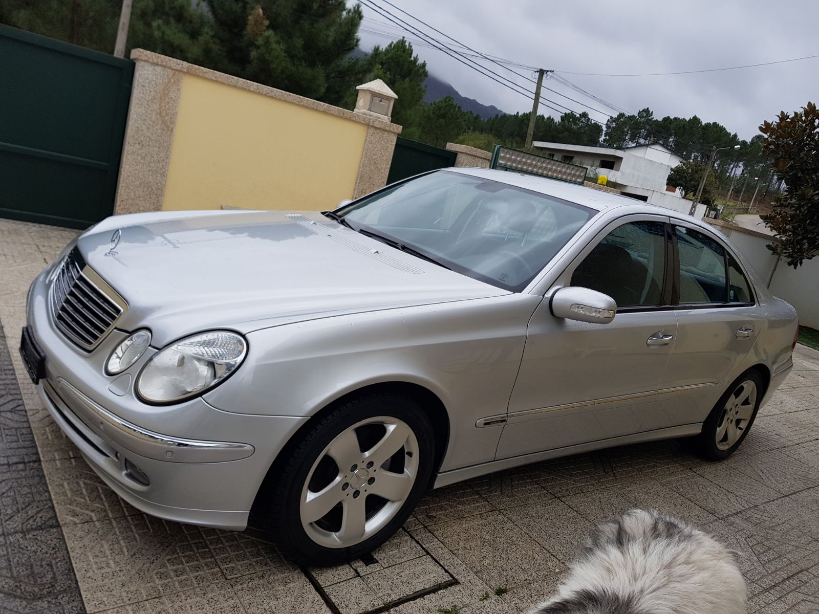 MERCEDES-BENZ E 320 CDI-image-4