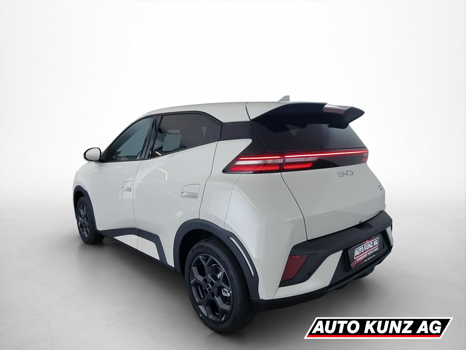 BYD Dolphin Surf 43kWh Comfort-image-3