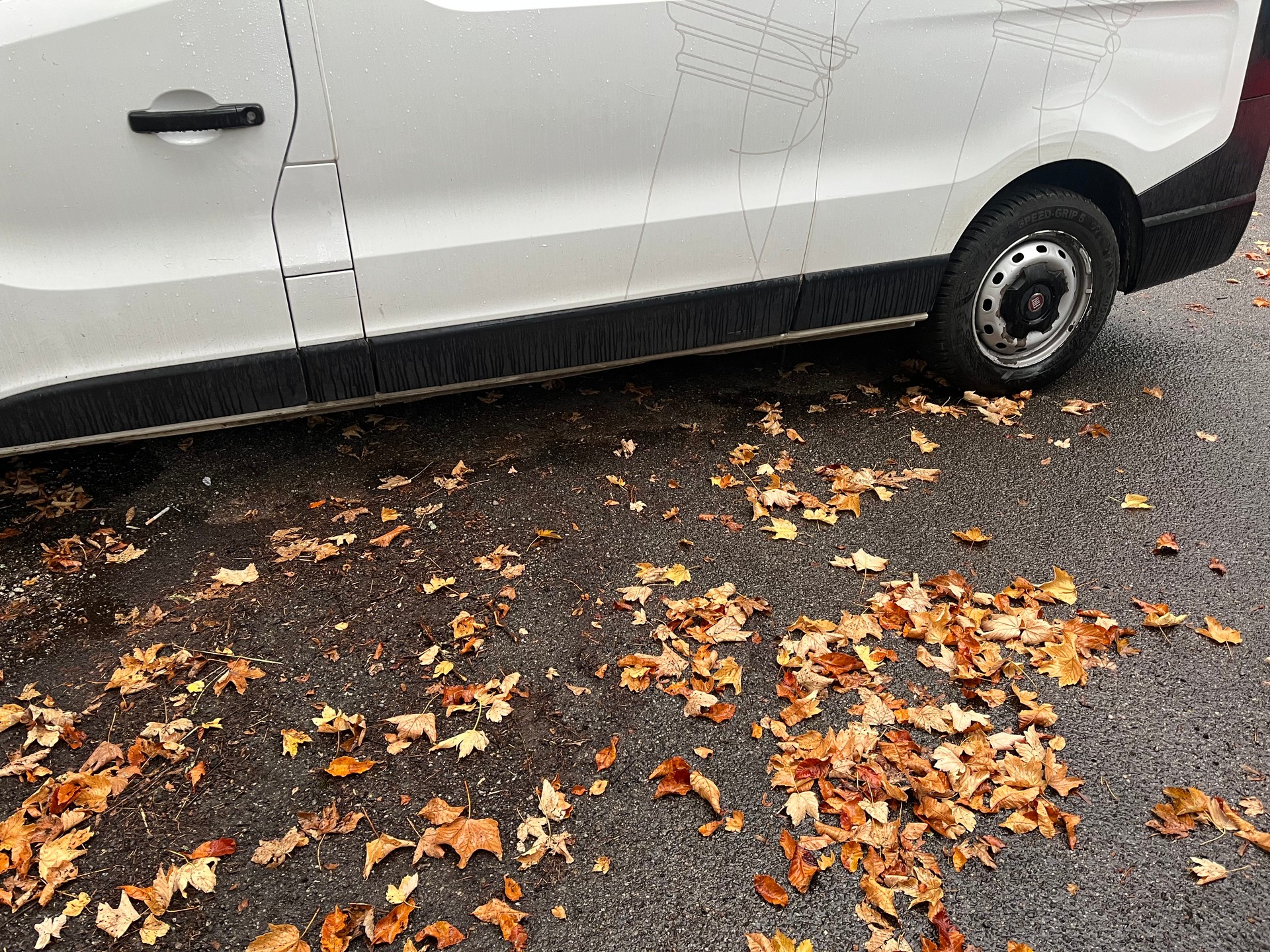 FIAT Talento 29 1.6 MJ L2H1 Swiss-image-3