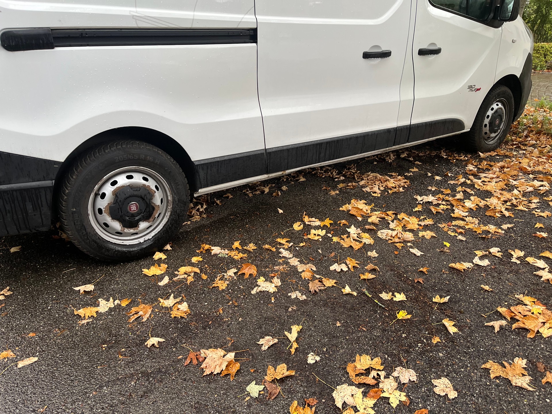 FIAT Talento 29 1.6 MJ L2H1 Swiss-image-2
