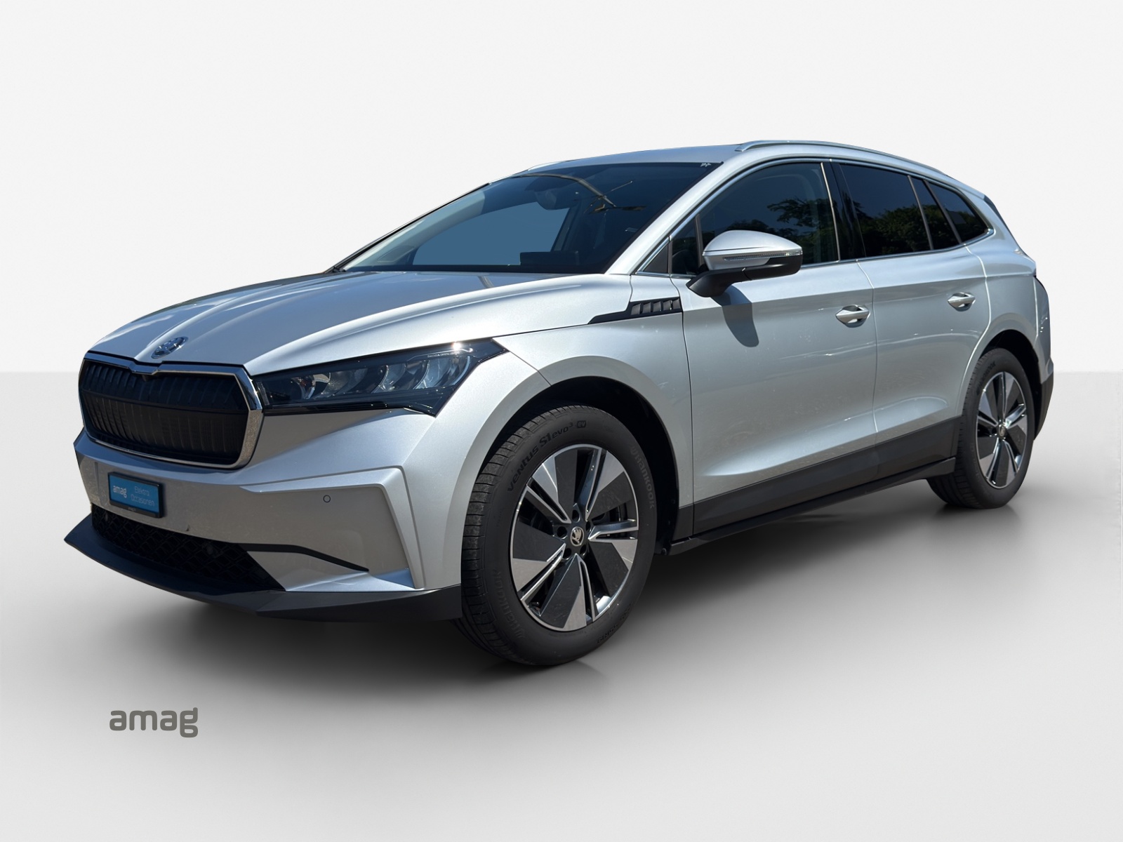 SKODA Enyaq iV 80x-image-0