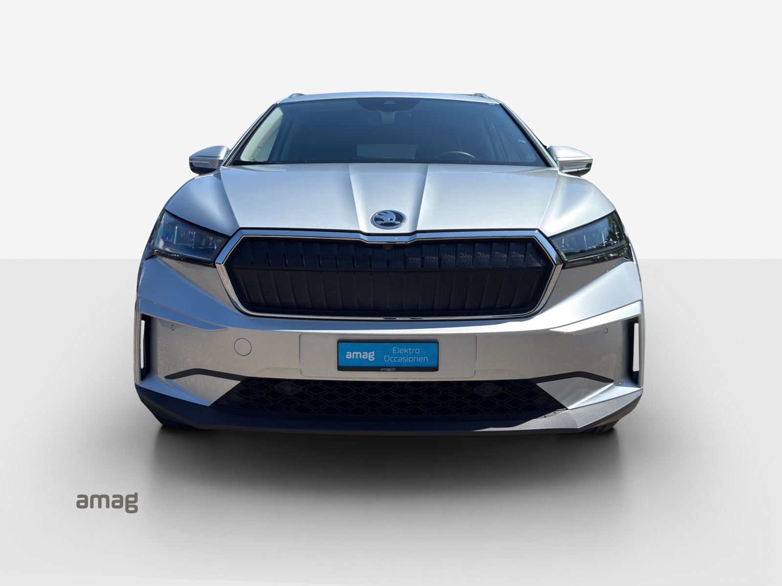 SKODA Enyaq iV 80x-image-6