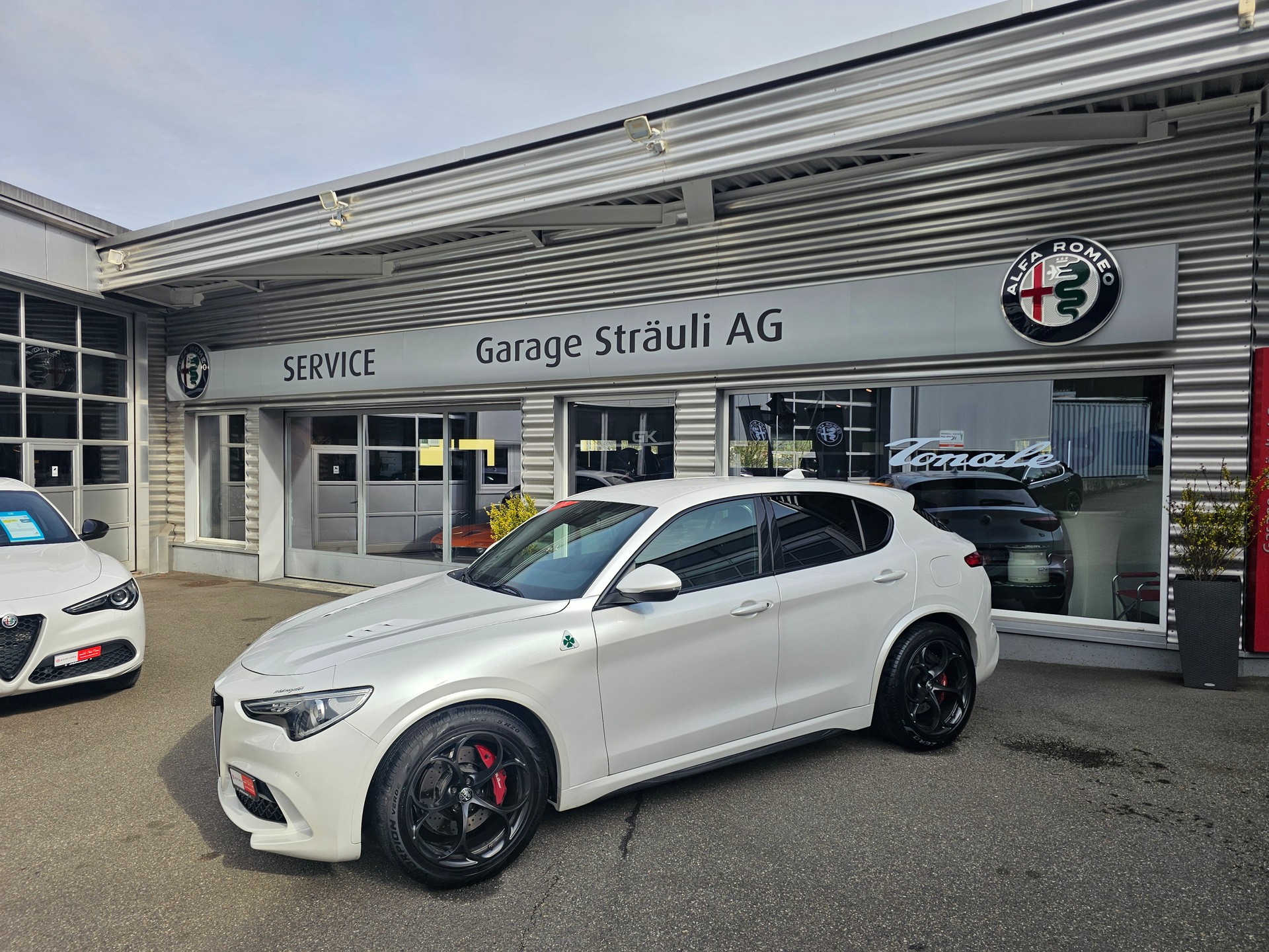 ALFA ROMEO Stelvio 2.9 V6 Quadrifoglio-showroom-element-1