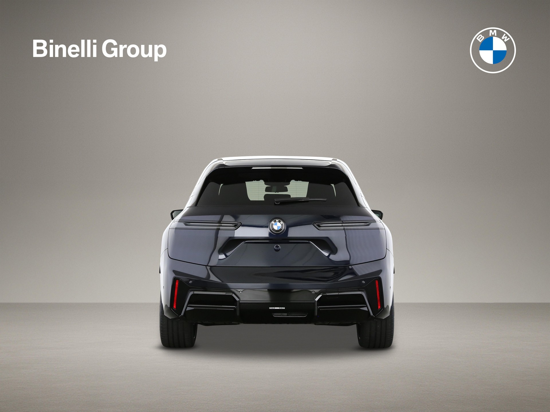 BMW iX xDrive60-image-3