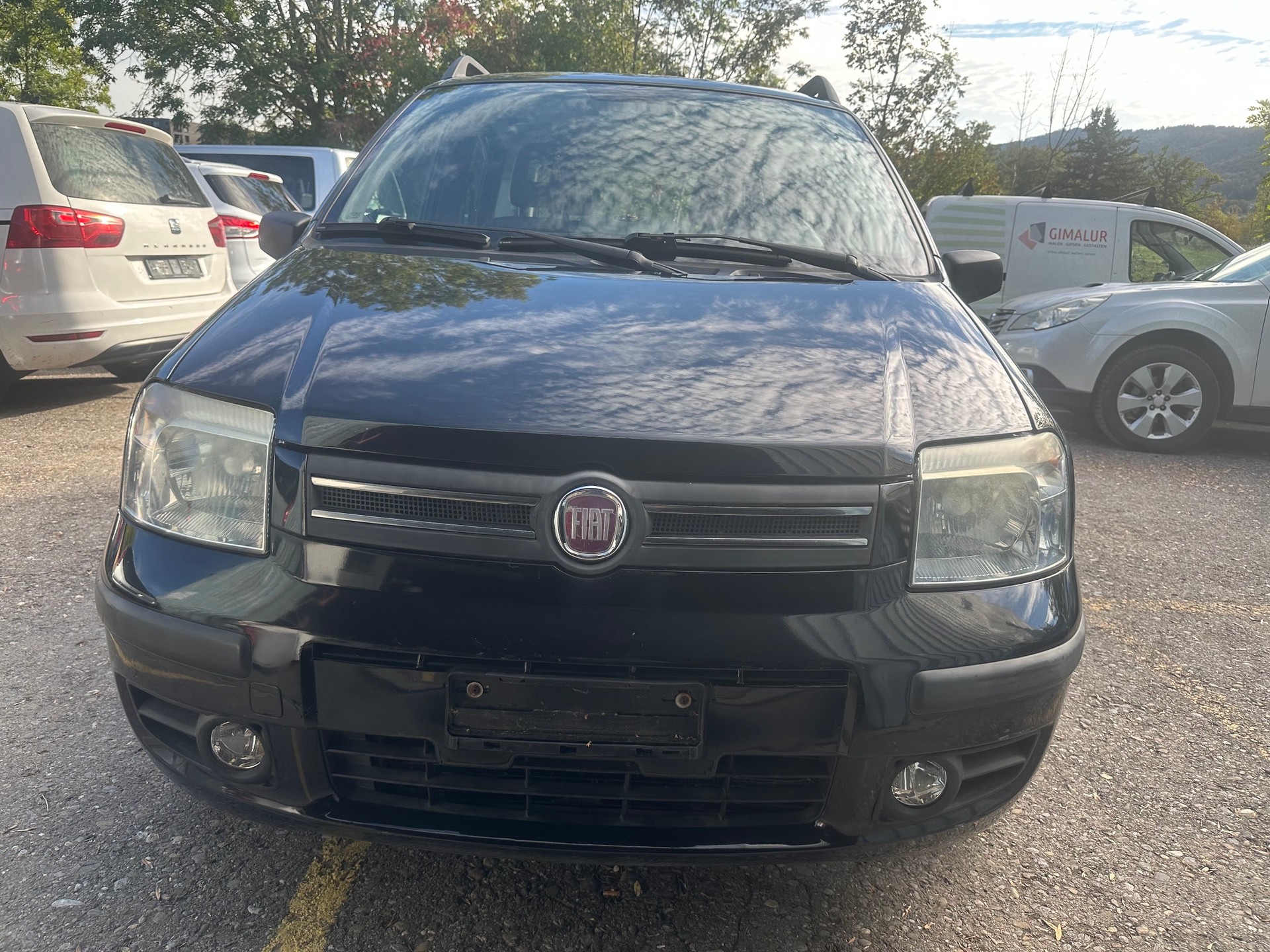 FIAT Panda 1.2 Dynamic plus-image-0