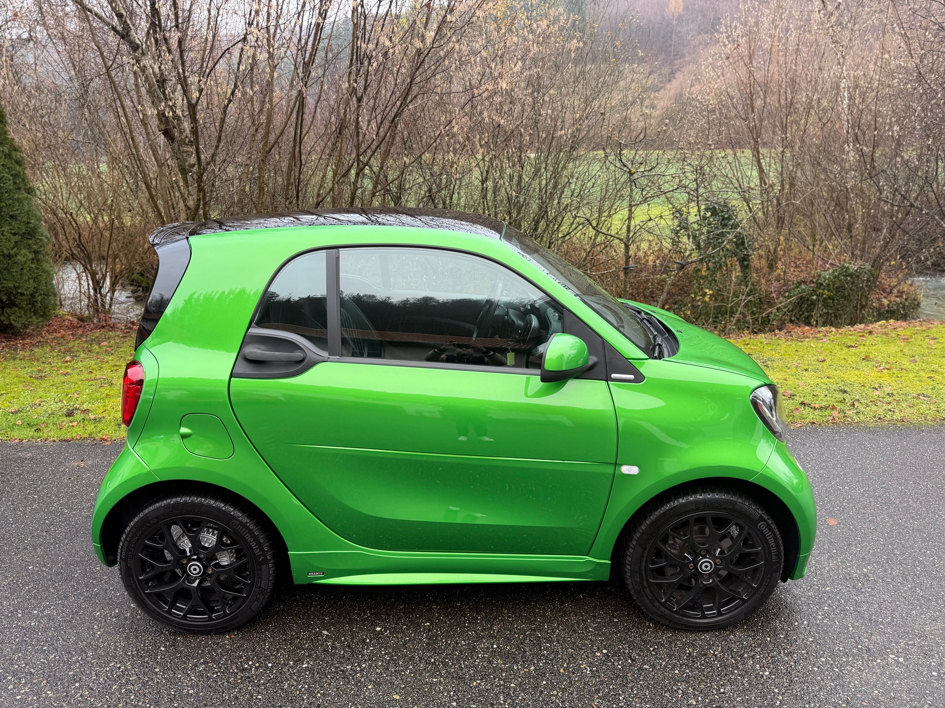 SMART FORTWO BRABUS STYLE TAILOR MADE-image-4