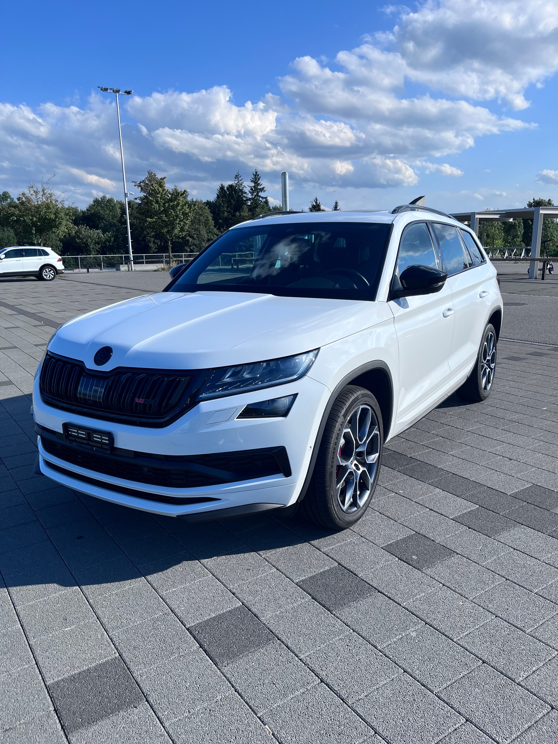 SKODA 2.0 Bi-TDI 240 RS DSG-image-10