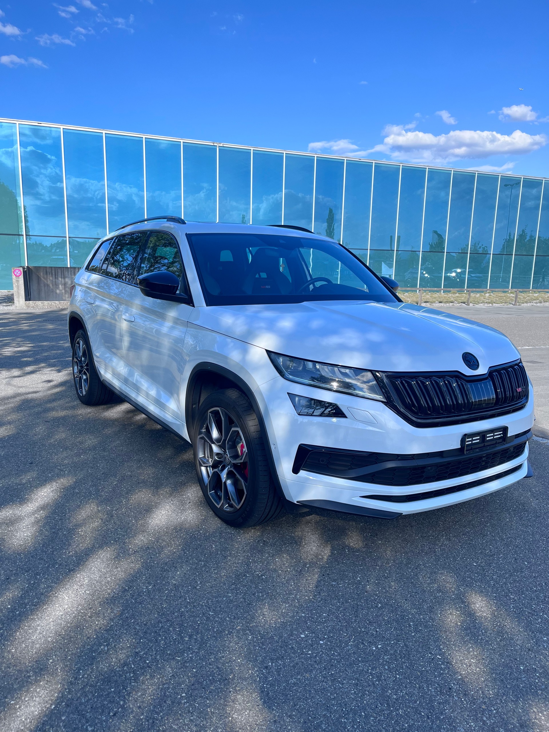 SKODA 2.0 Bi-TDI 240 RS DSG-image-2