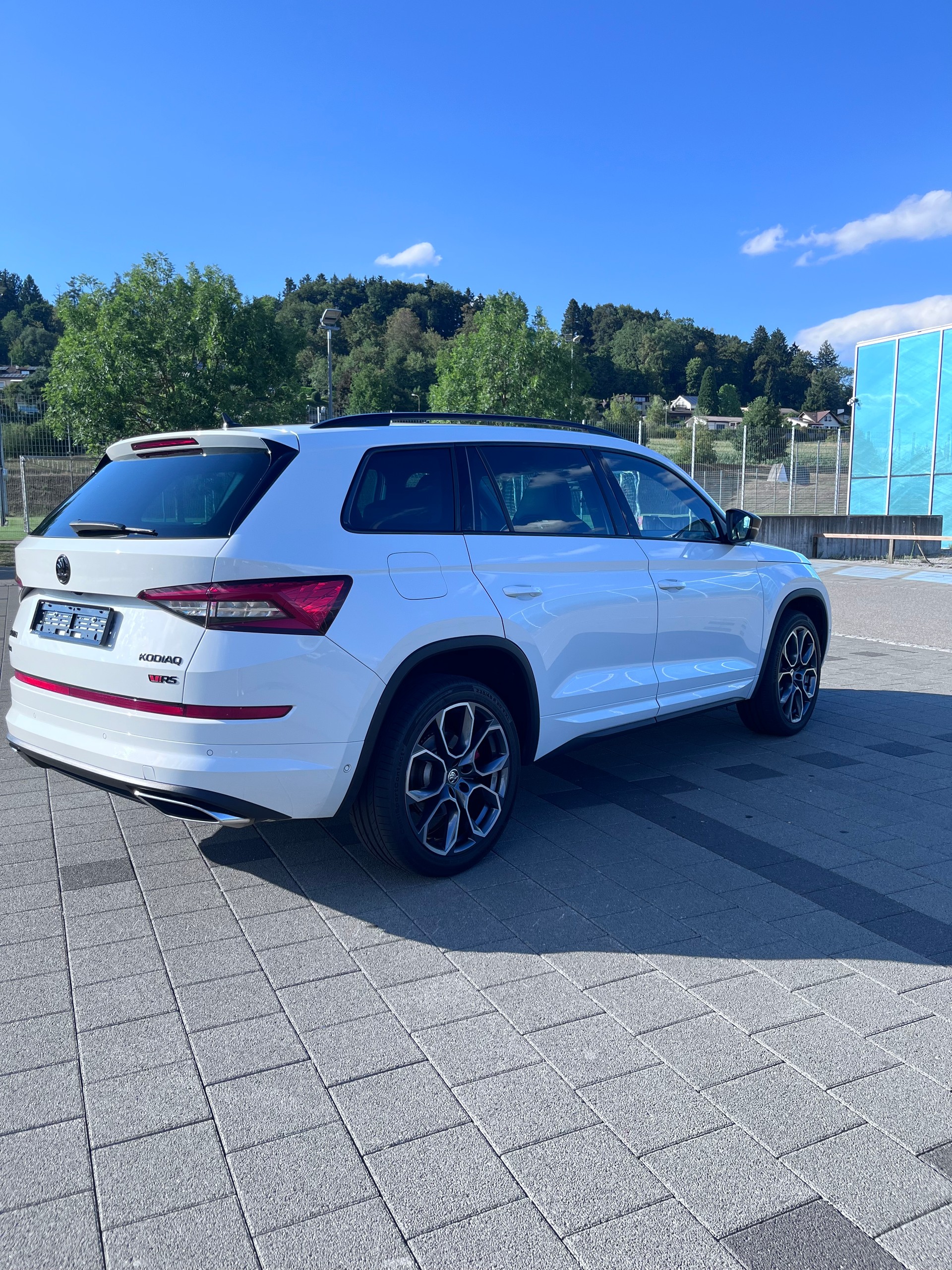 SKODA 2.0 Bi-TDI 240 RS DSG-image-12