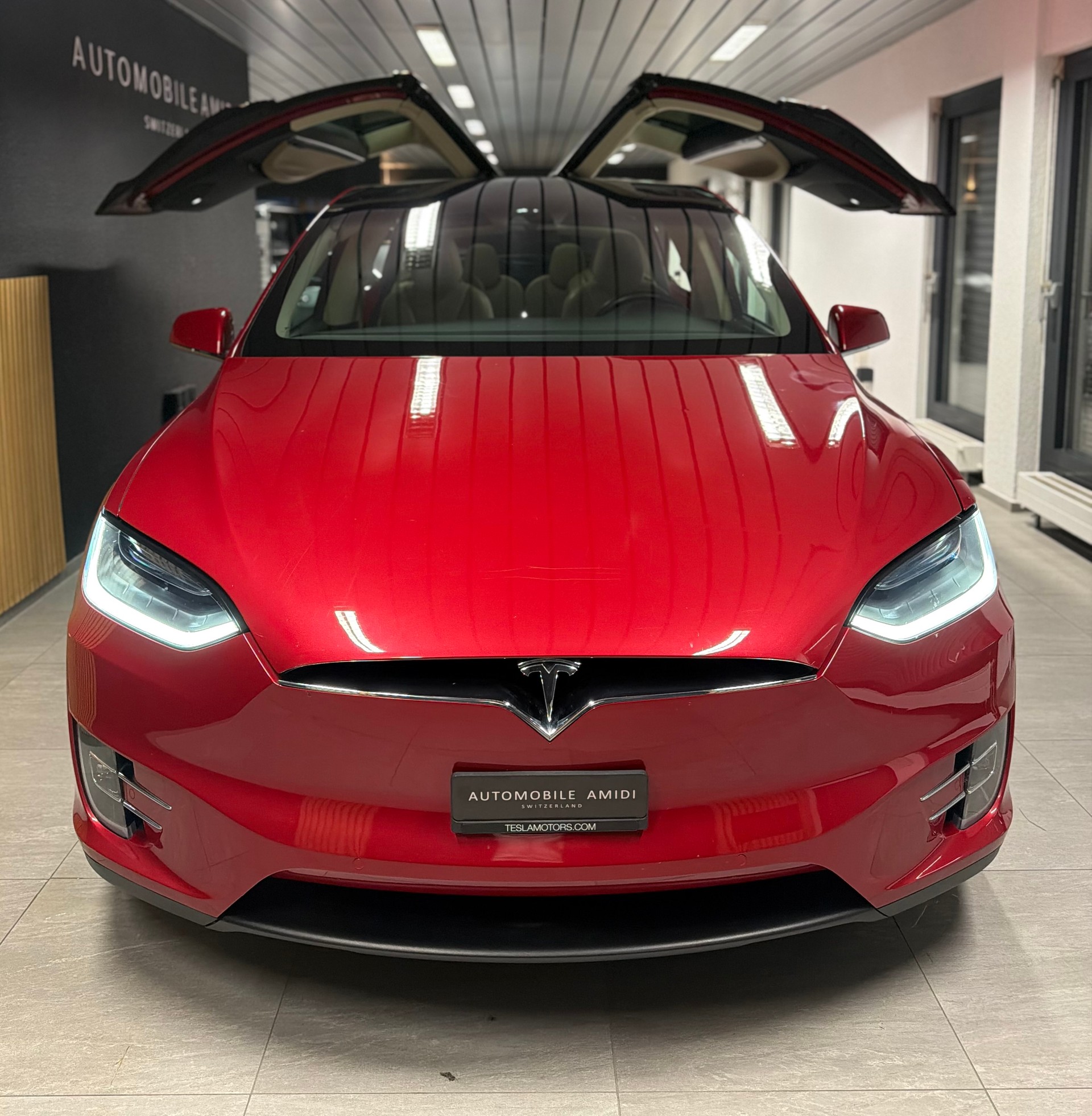 TESLA Model X 90 D Performance-image-1