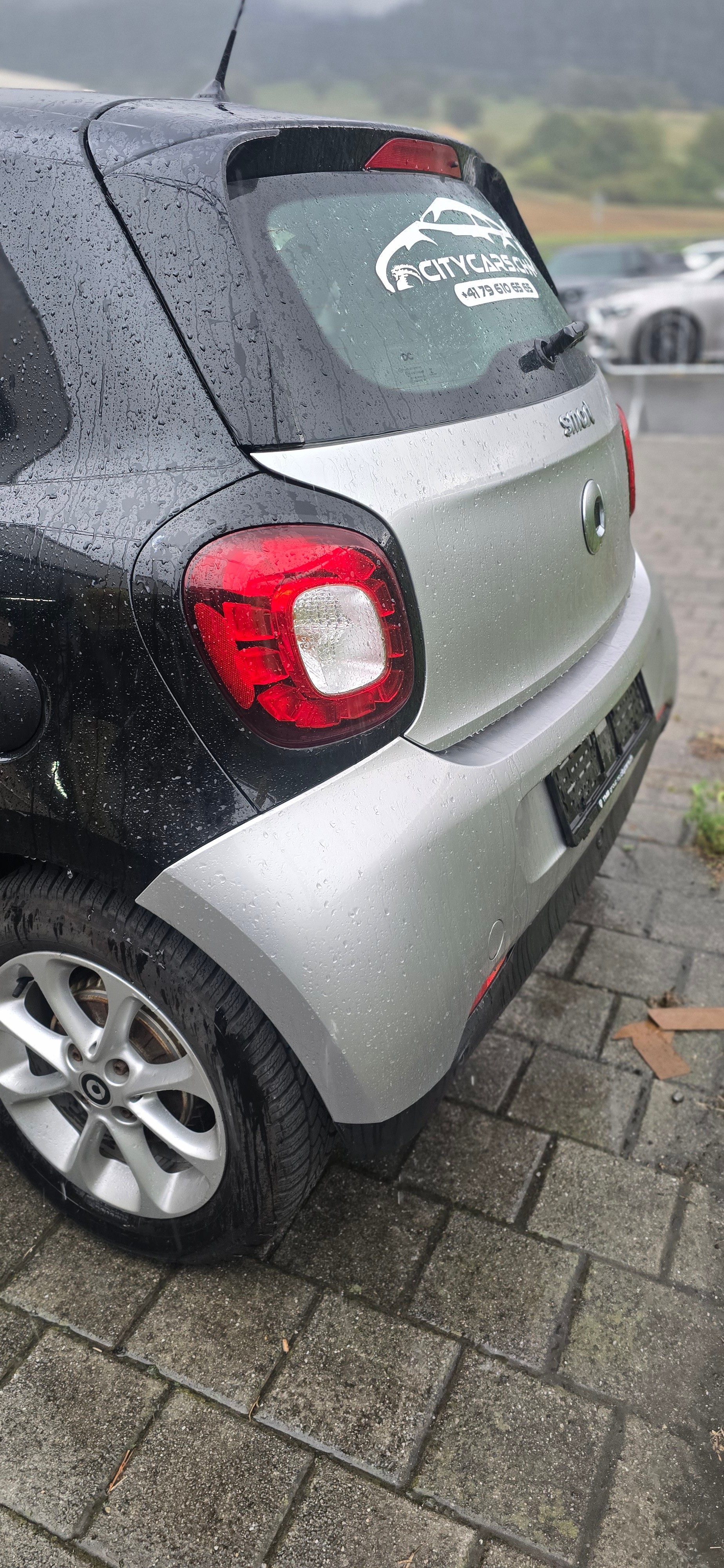 SMART forfour passion twinmatic-image-2