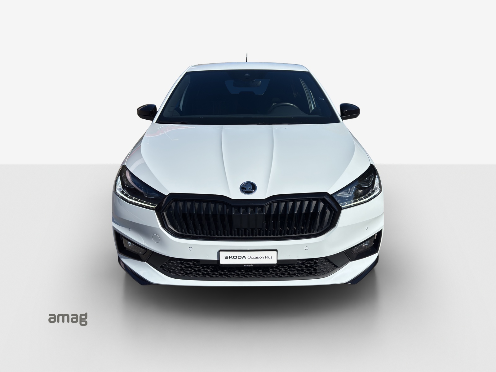 SKODA Fabia 1.5 TSI Monte Carlo DSG-image-6