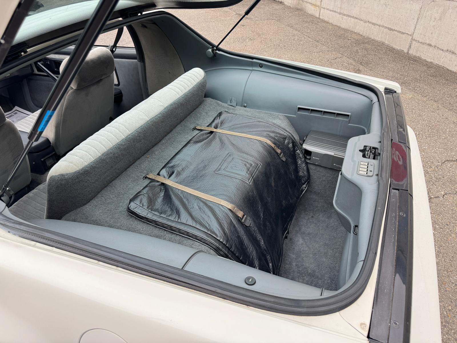 PONTIAC TRANS AM 5.0-V8 TARGA DACH-image-18