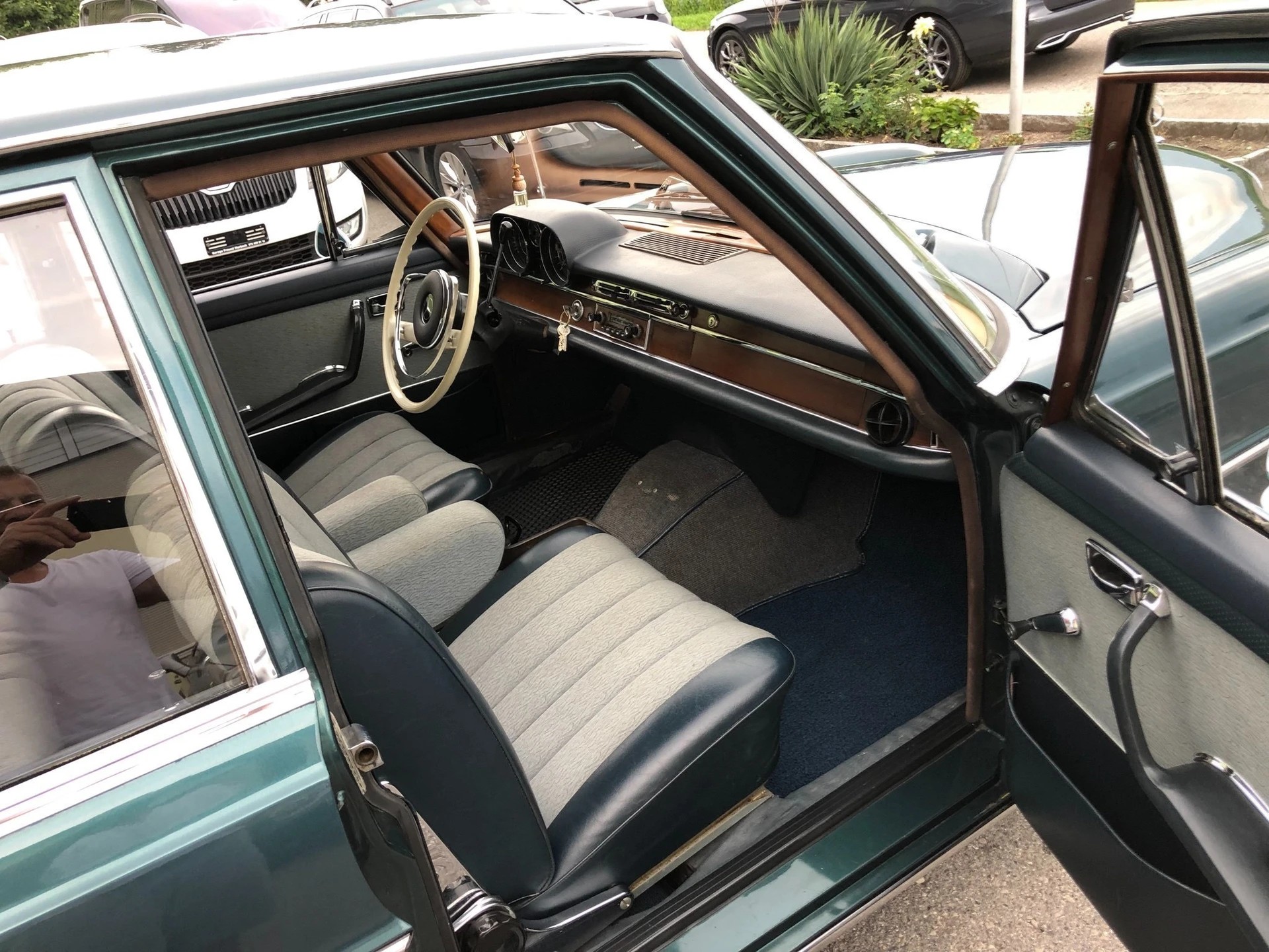 MERCEDES-BENZ 250 SE-image-10