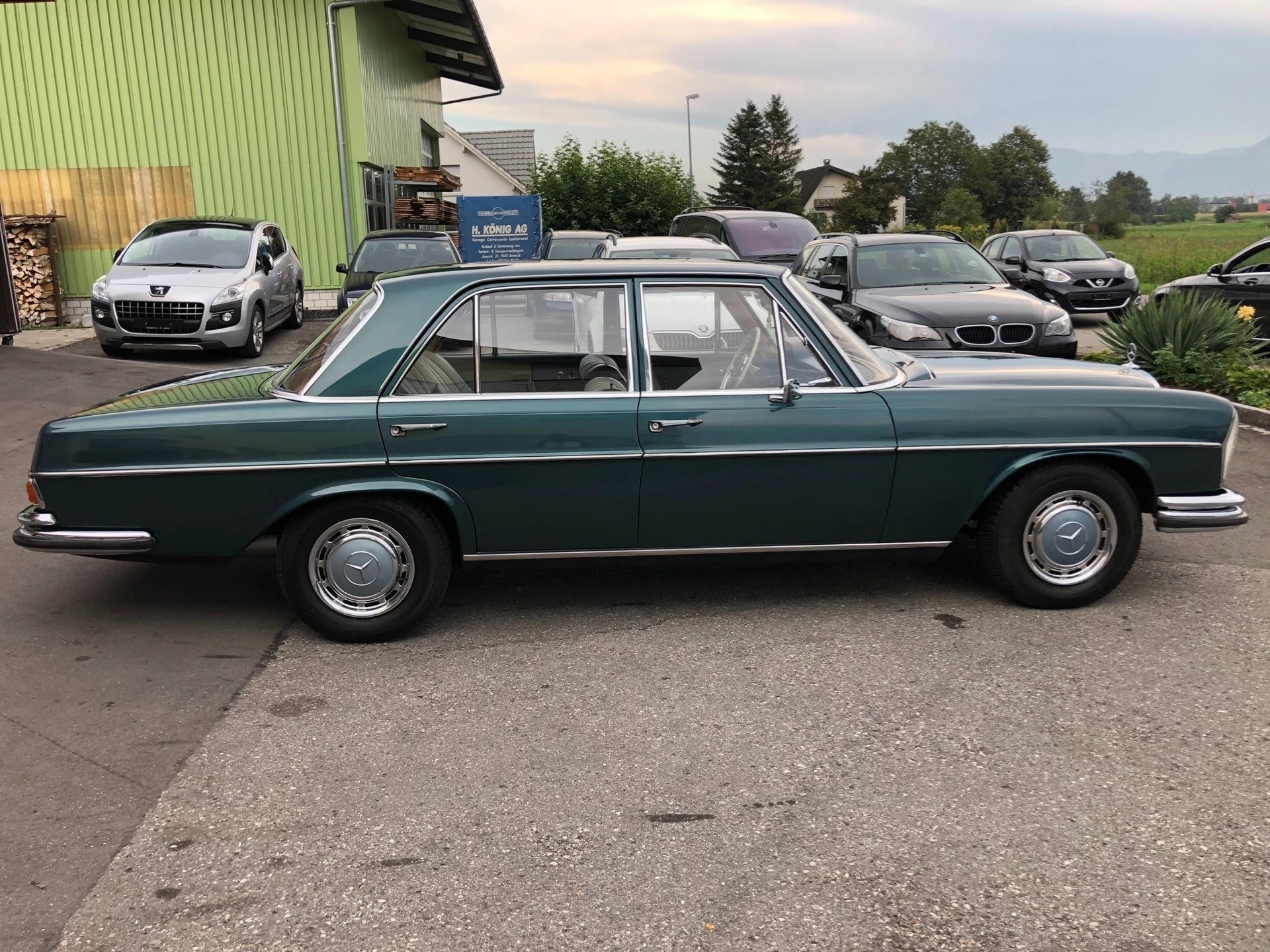 MERCEDES-BENZ 250 SE-image-12
