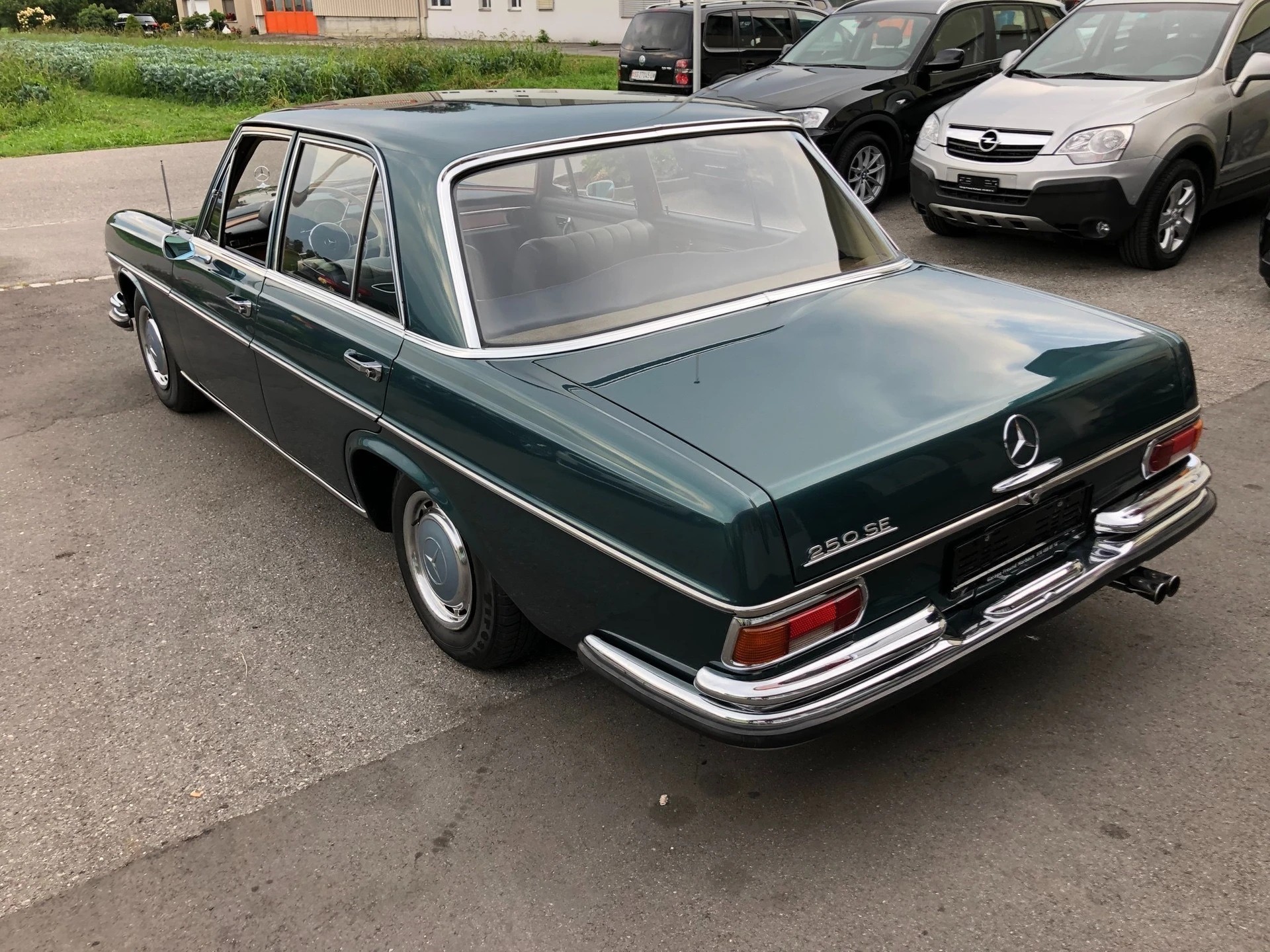 MERCEDES-BENZ 250 SE-image-7