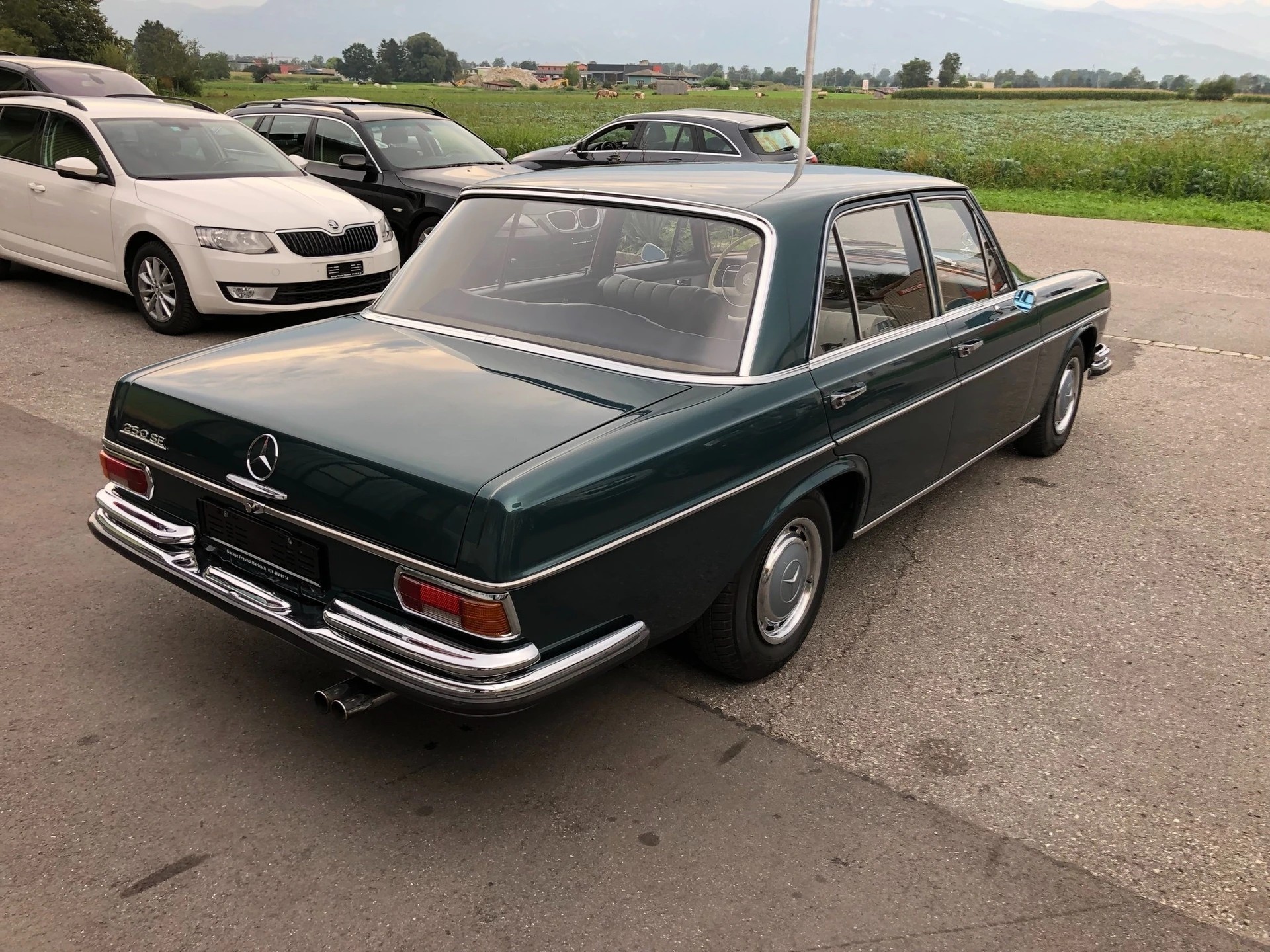 MERCEDES-BENZ 250 SE-image-8