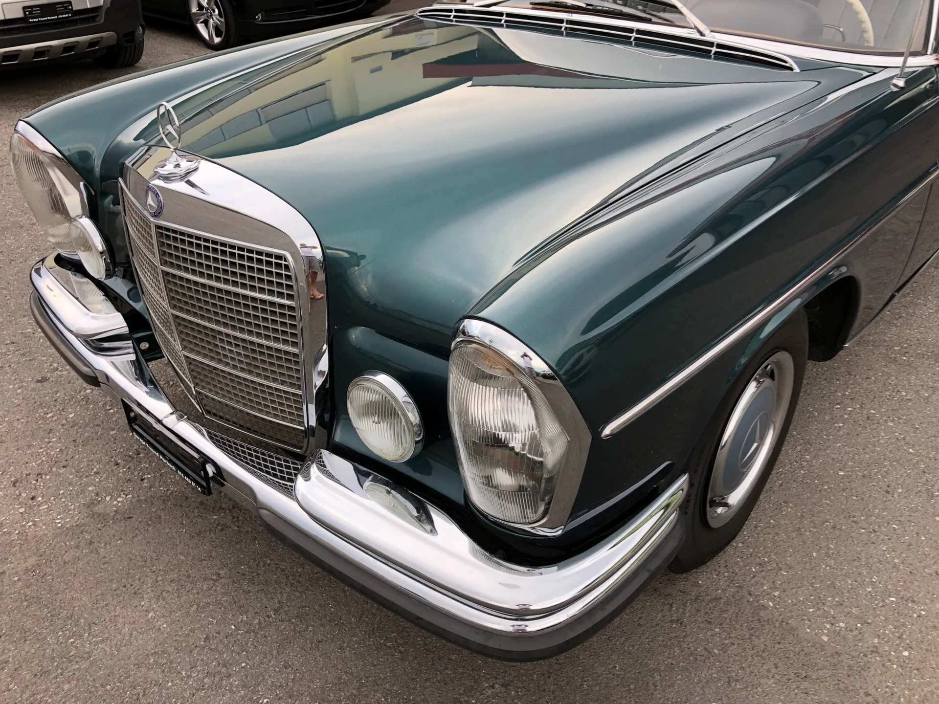 MERCEDES-BENZ 250 SE-image-6