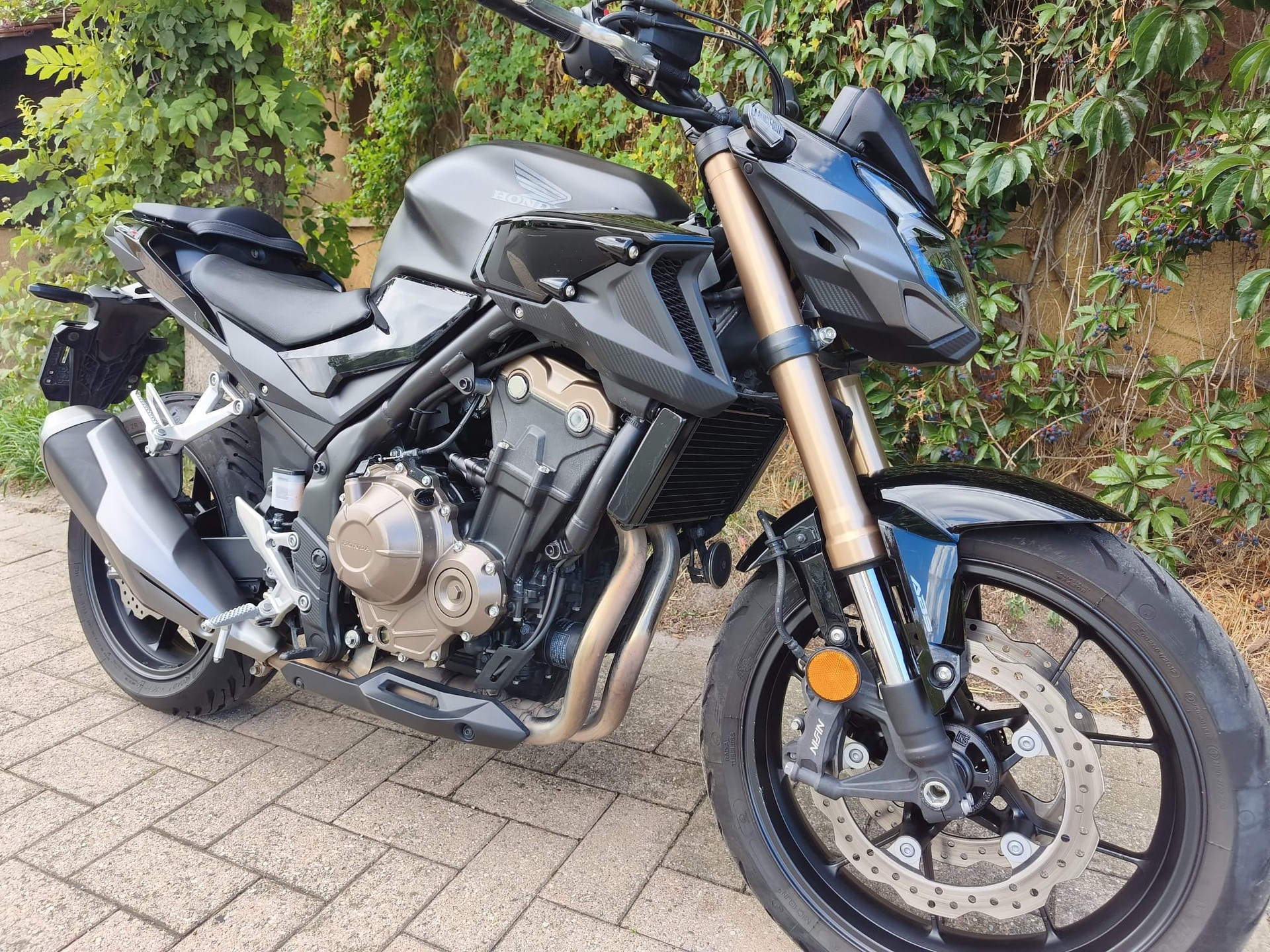 HONDA CB 500 F-image-3