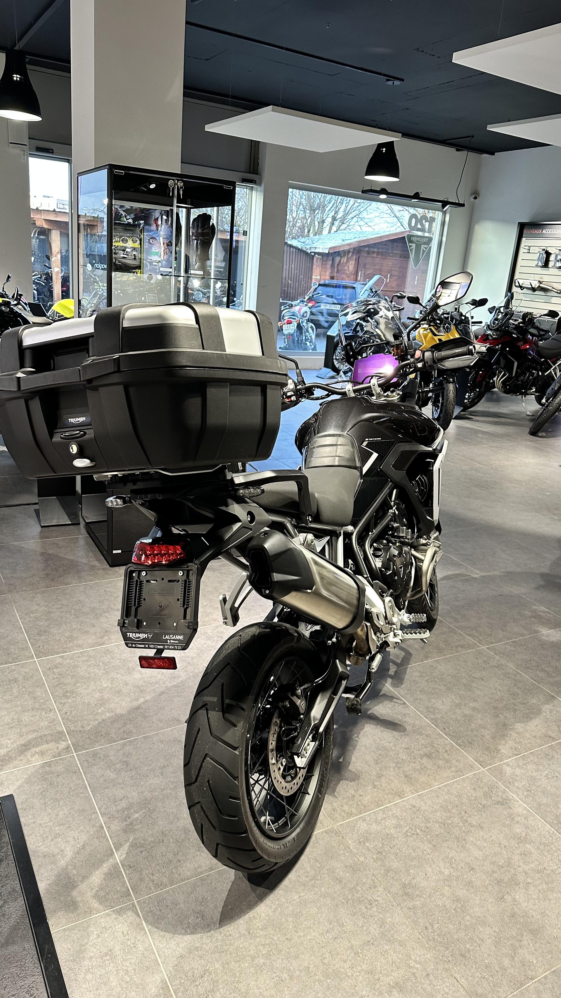 TRIUMPH Tiger 900 Rally Pro-showroom-element-2