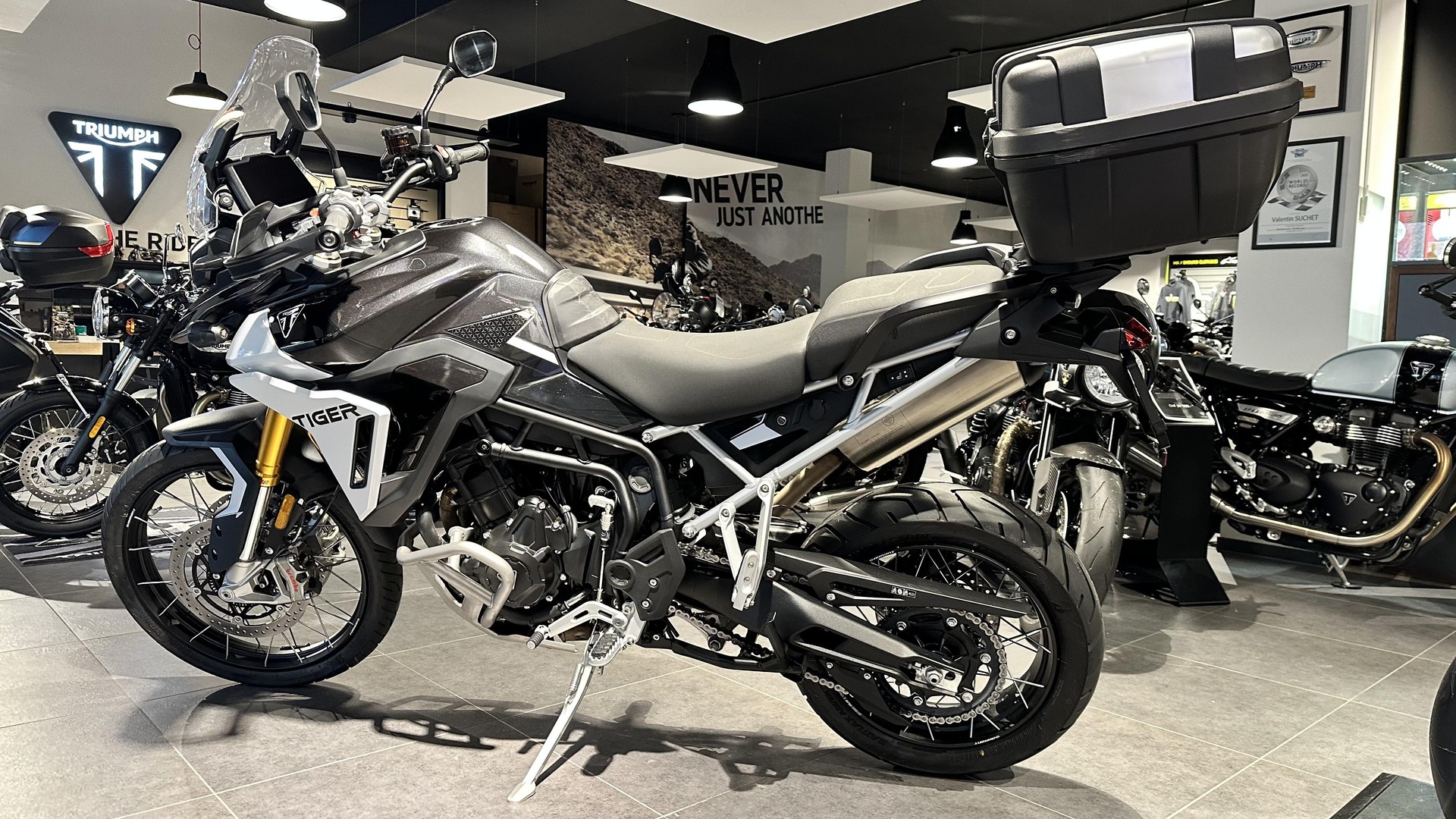 TRIUMPH Tiger 900 Rally Pro-showroom-element-1