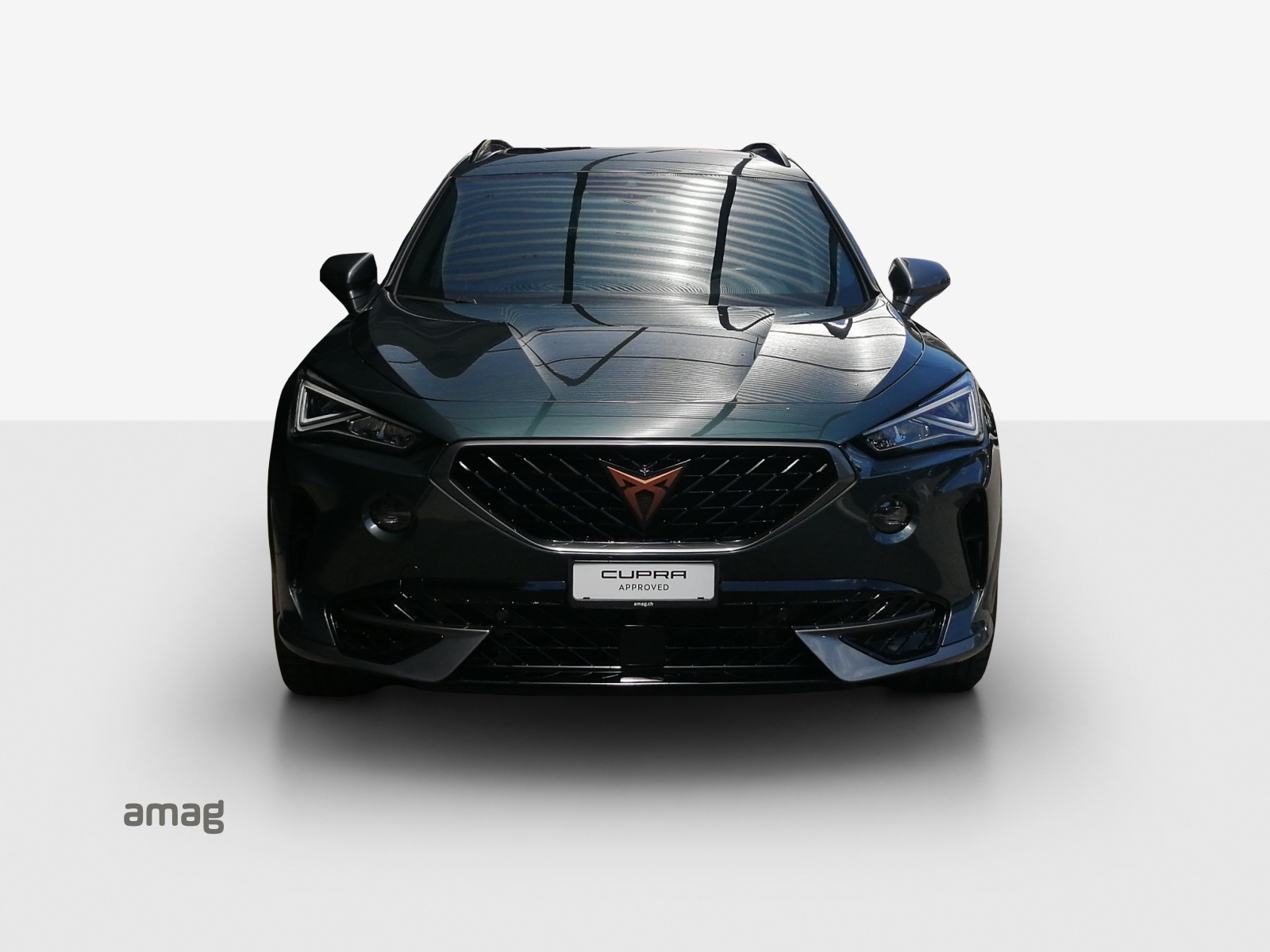CUPRA Formentor 2.0TSI VZ 4Drive DSG-image-6