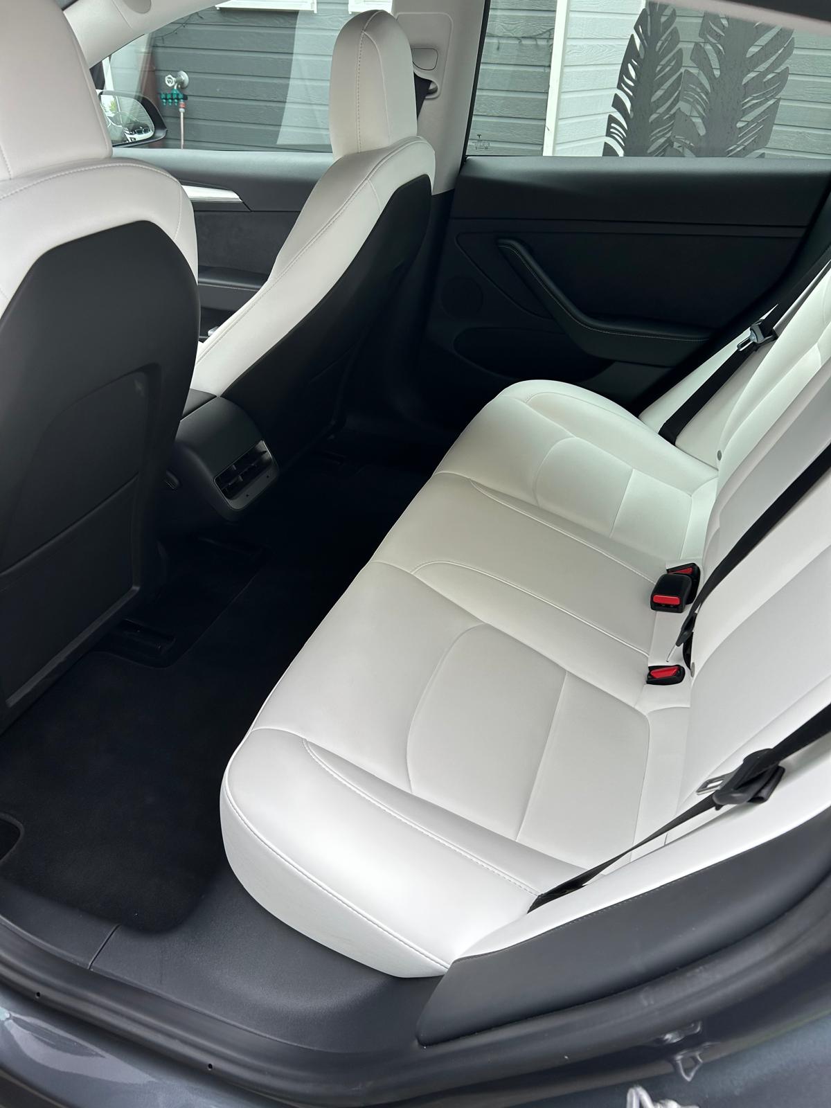 TESLA Standart Range Plus-image-5