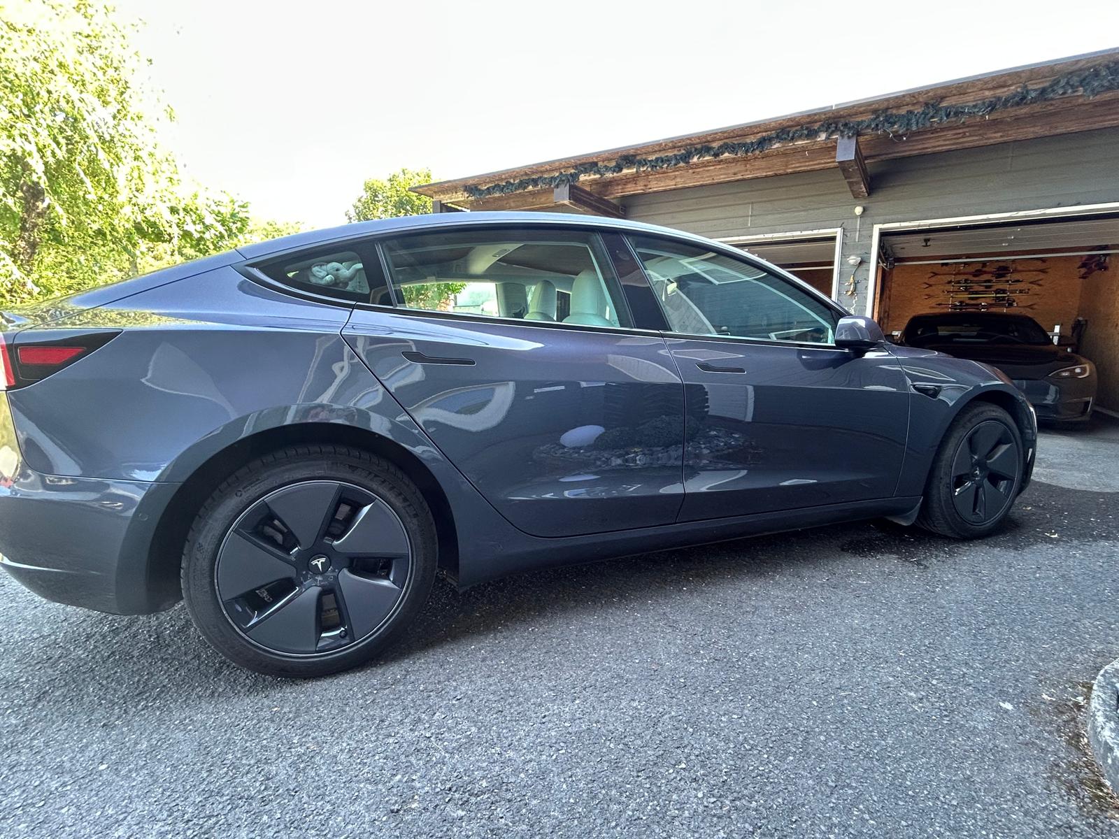TESLA Standart Range Plus-image-3