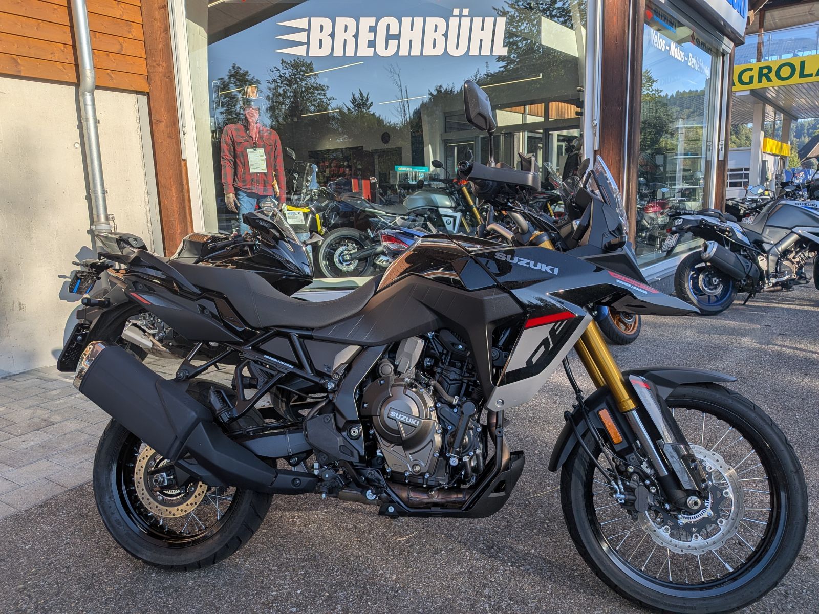 SUZUKI DL 800 DE