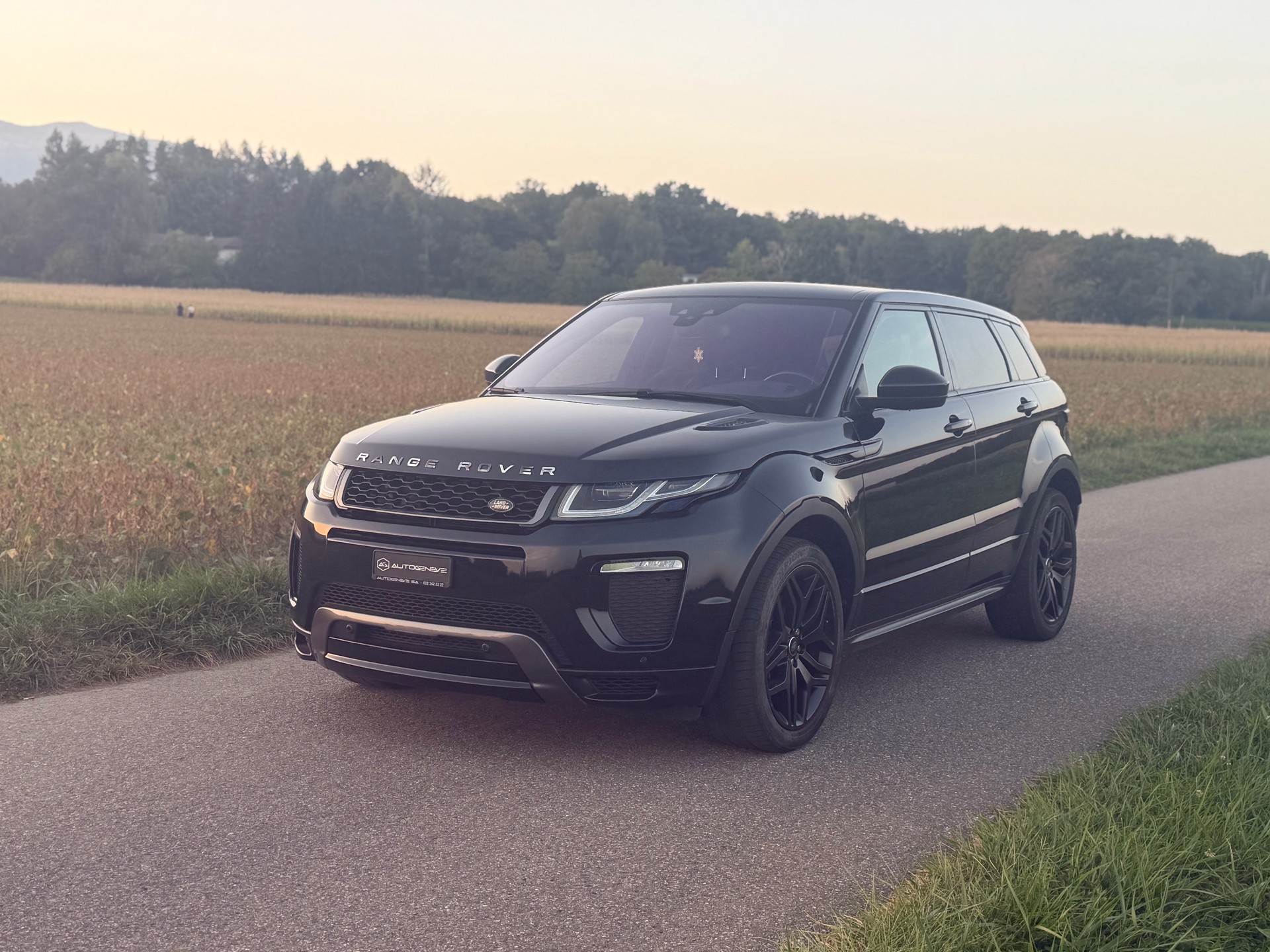 LAND ROVER Range Rover Evoque 2.0 TD4 HSE Dynamic AT9-image-2